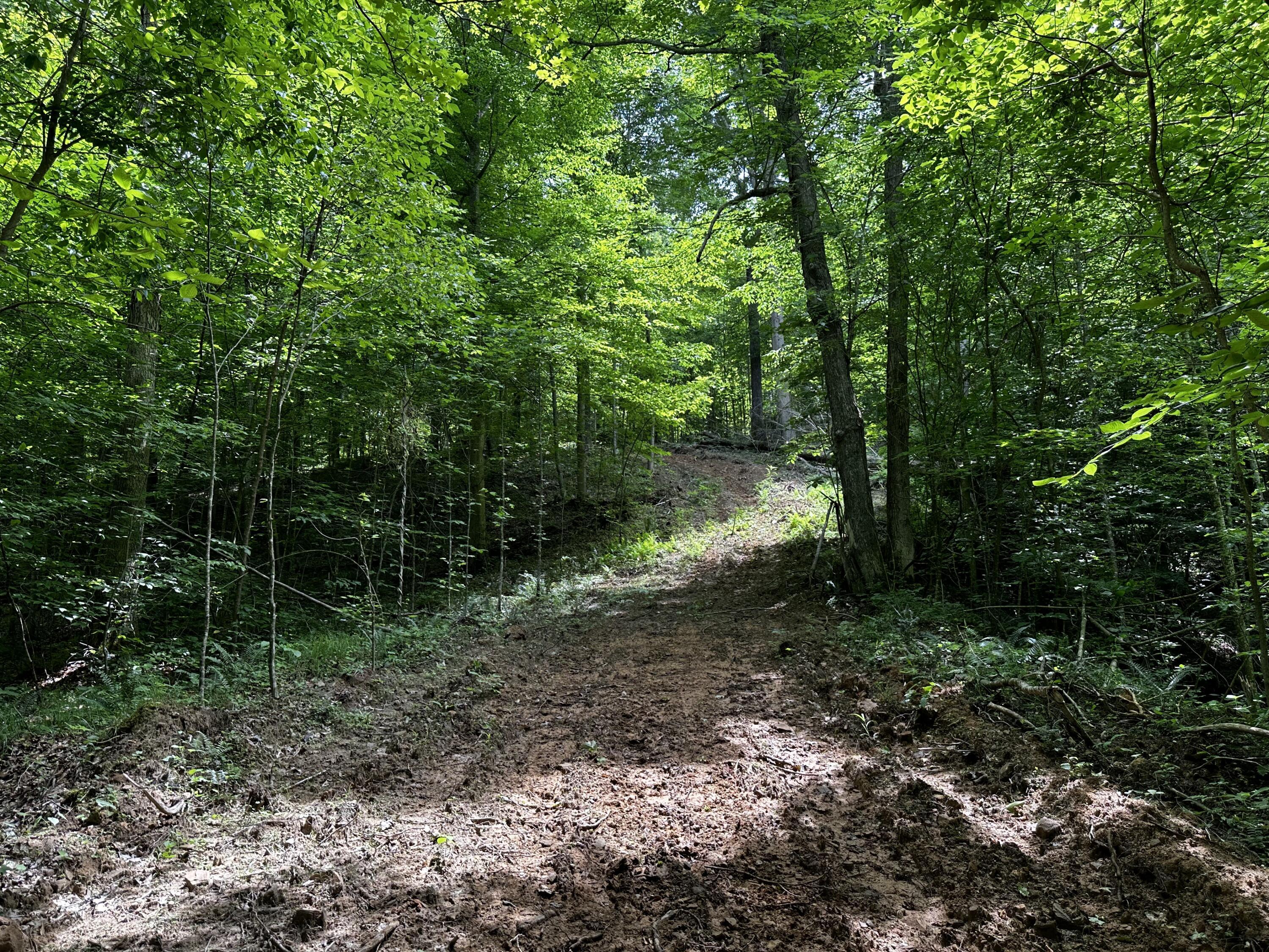 1865 Hull Road, (tract 2 Woods Wayne Forest) Property Photo 33