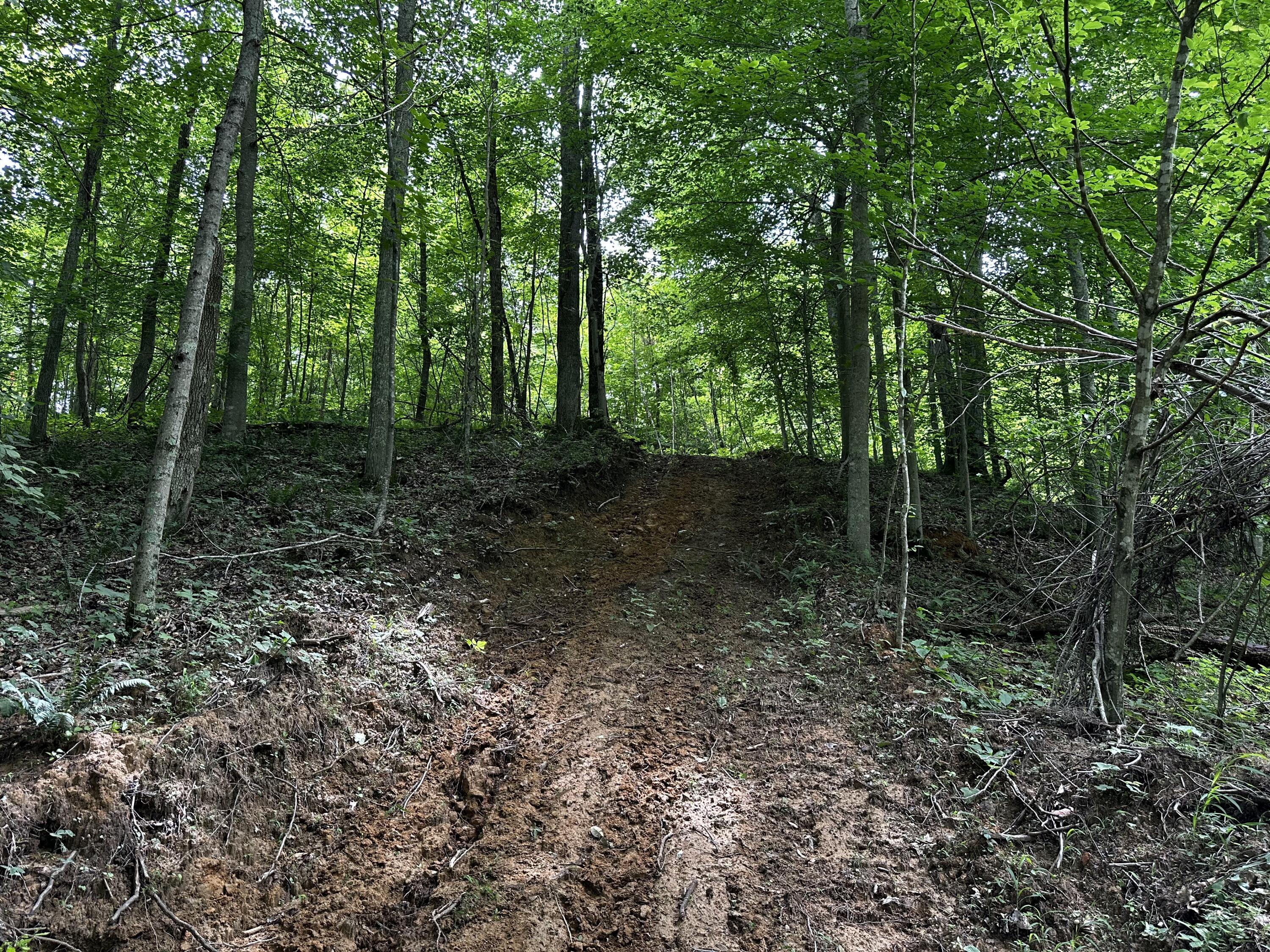 1865 Hull Road, (tract 2 Woods Wayne Forest) Property Photo 40