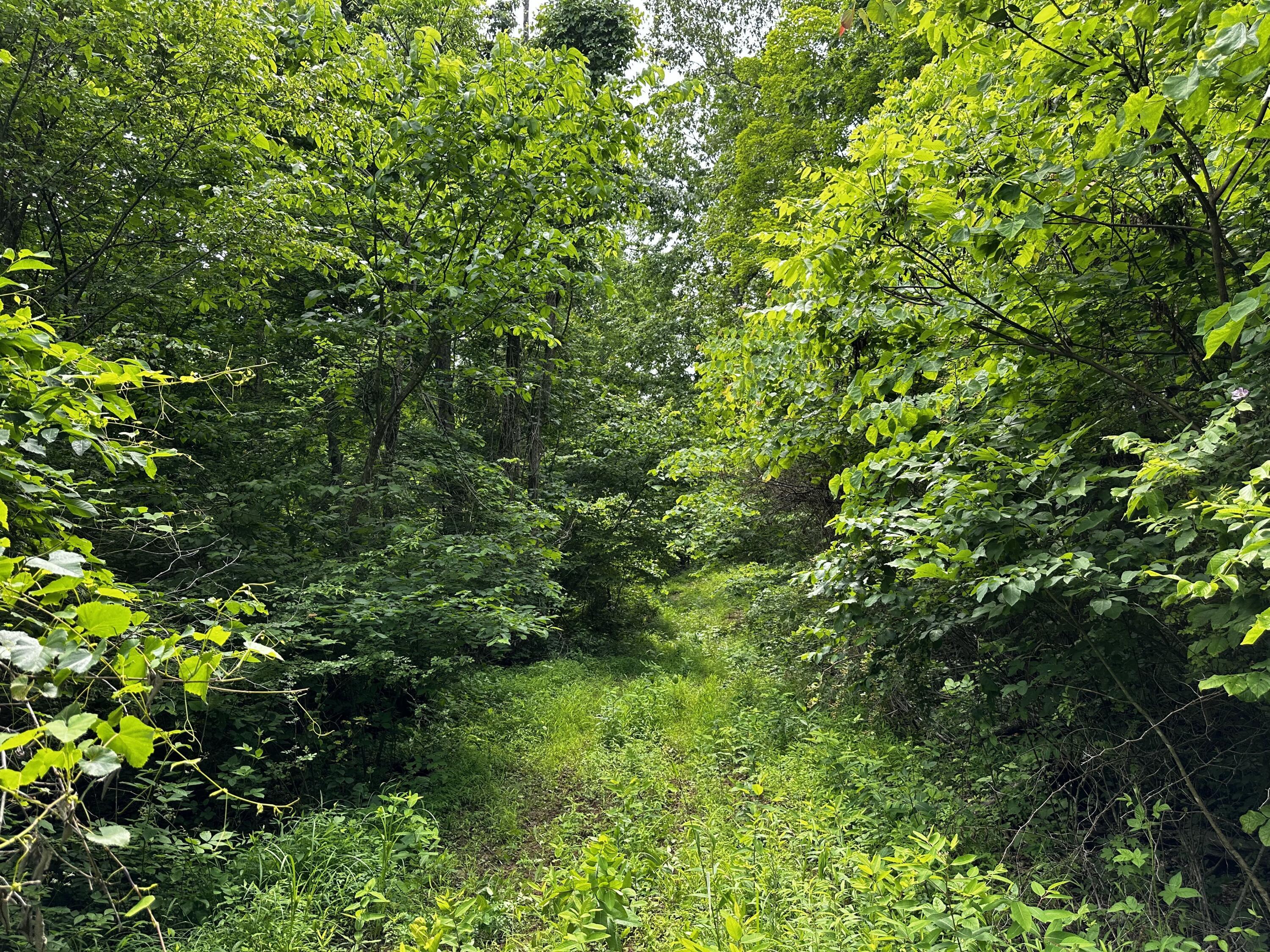 1865 Hull Road, (tract 2 Woods Wayne Forest) Property Photo 42