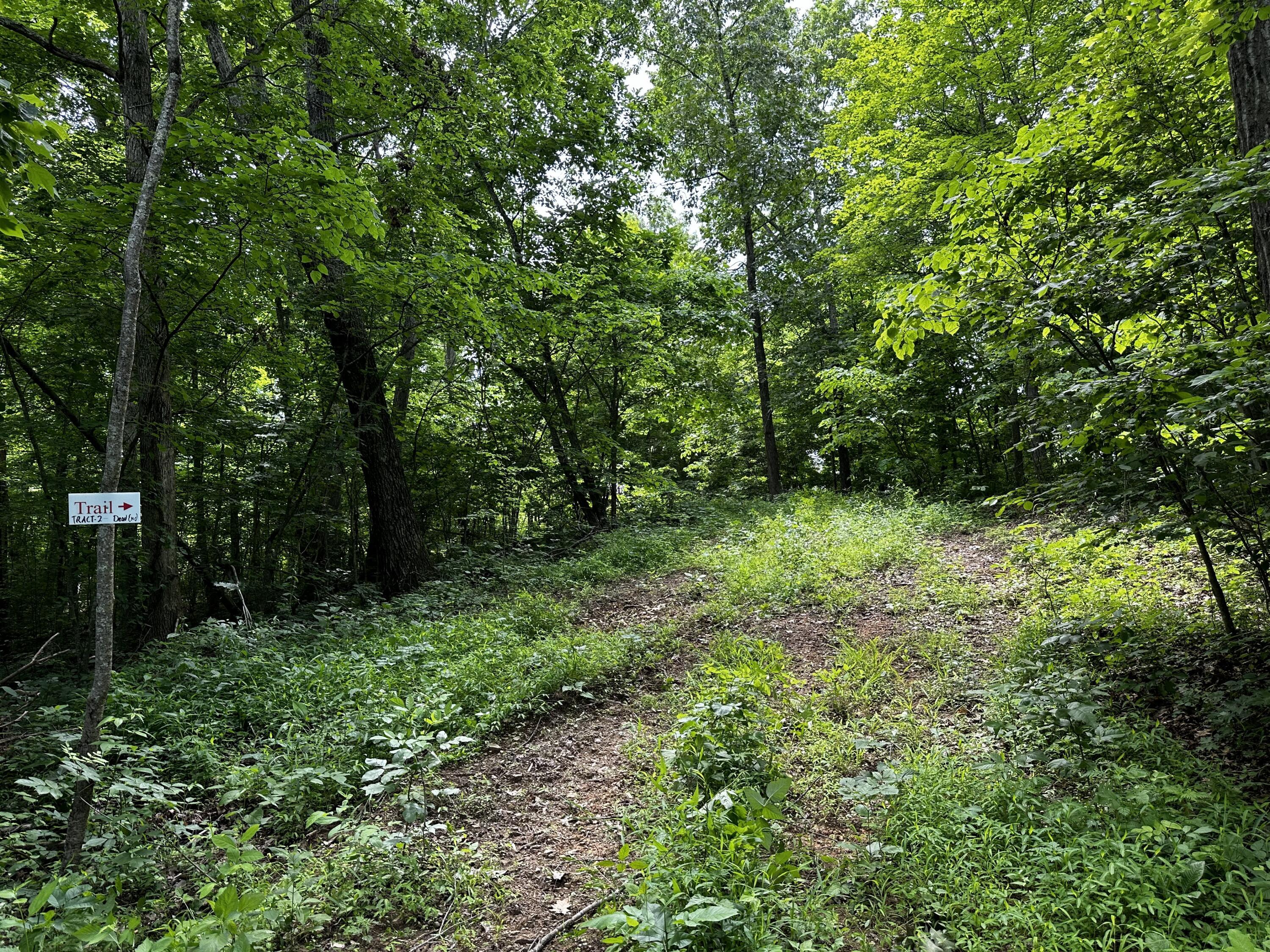 1865 Hull Road, (tract 2 Woods Wayne Forest) Property Photo 43