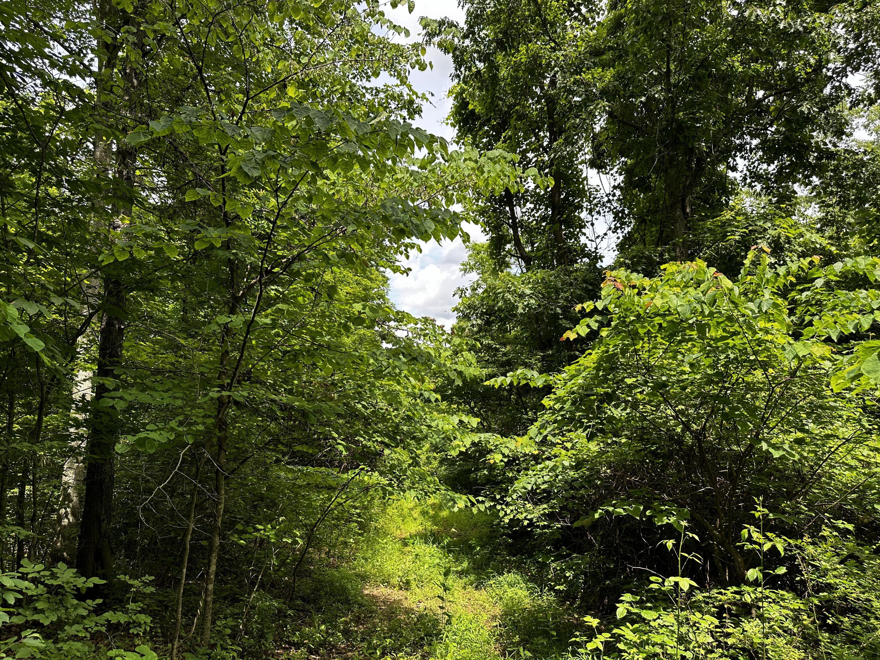 1865 Hull Road, (tract 2 Woods Wayne Forest) Property Photo 44
