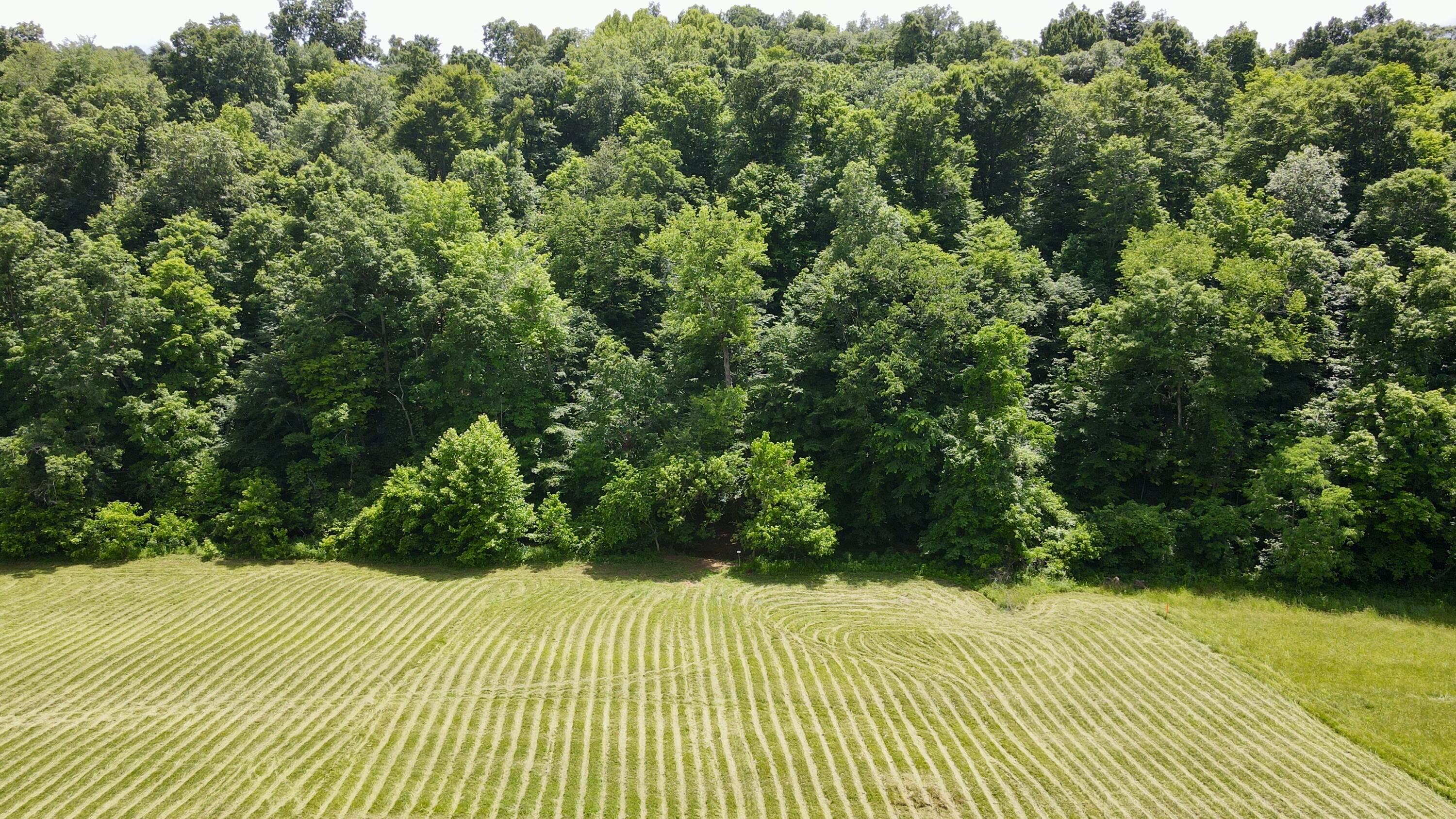 1865 Hull Road, (tract 2 Woods Wayne Forest) Property Photo 55