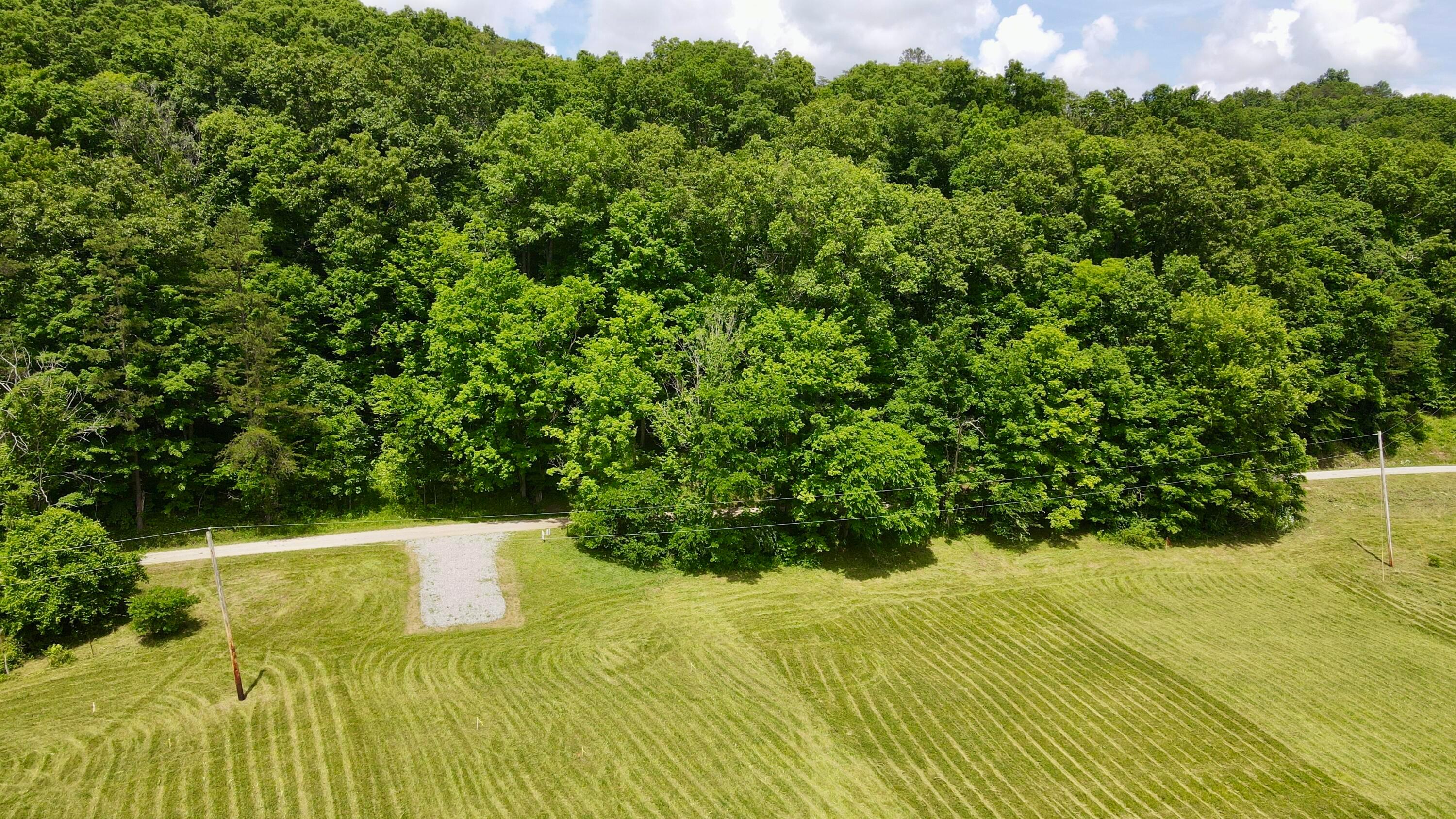 1865 Hull Road, (tract 2 Woods Wayne Forest) Property Photo 59