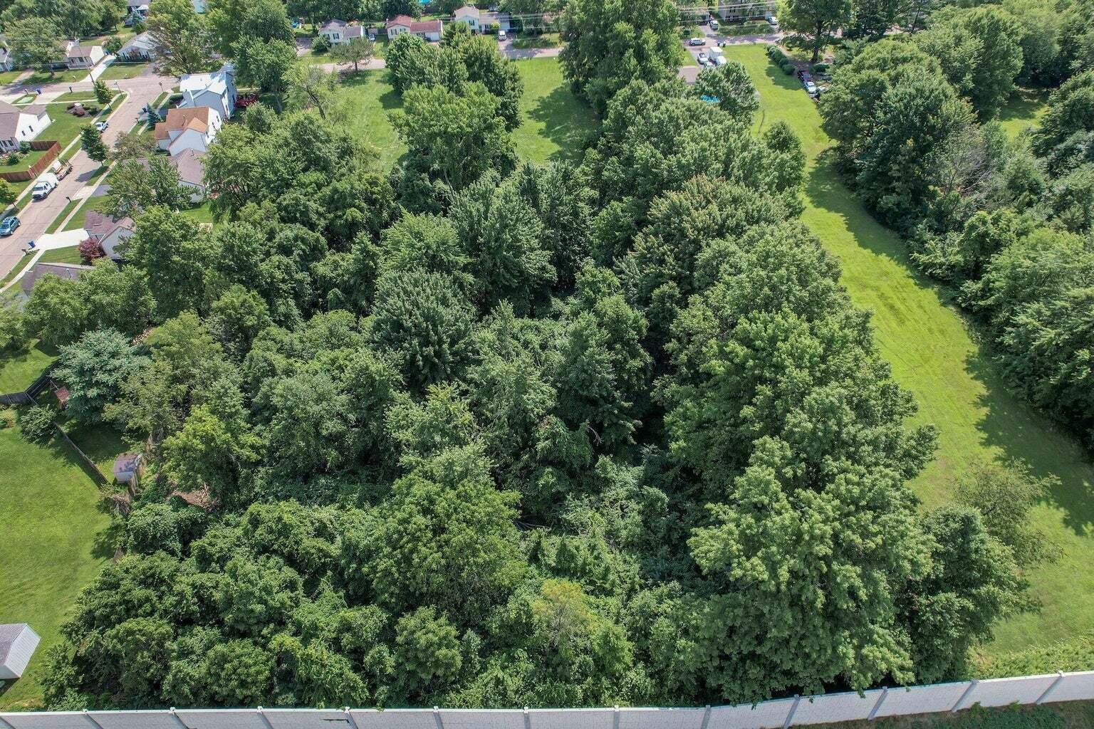3877 Hines Road Property Photo 5