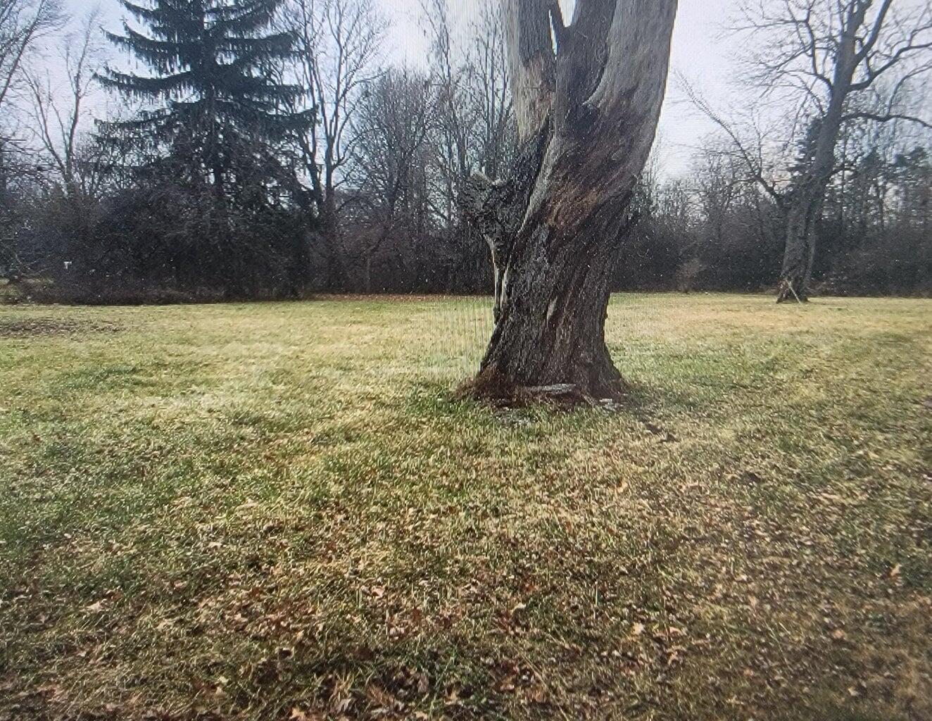 3877 Hines Road Property Photo 6