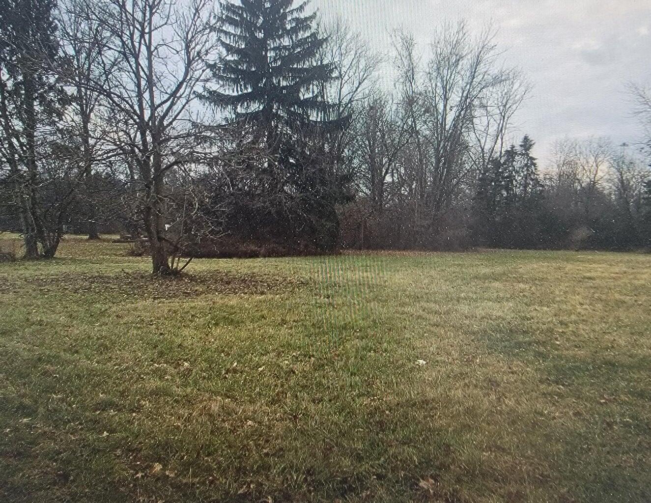 3877 Hines Road Property Photo 7