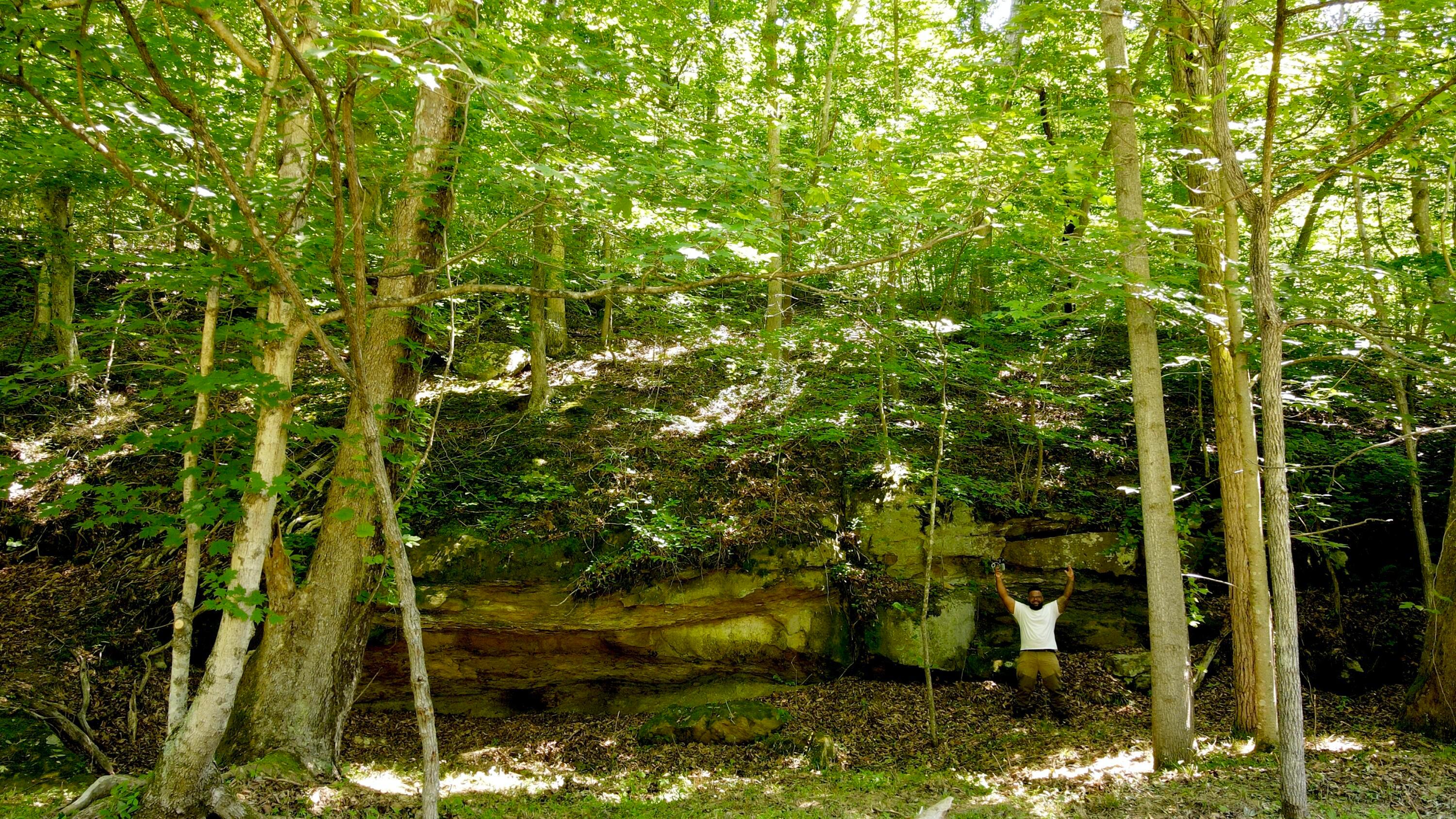 1529 Hull Road, (tract 7 Woods Wayne Forest) Property Photo 3