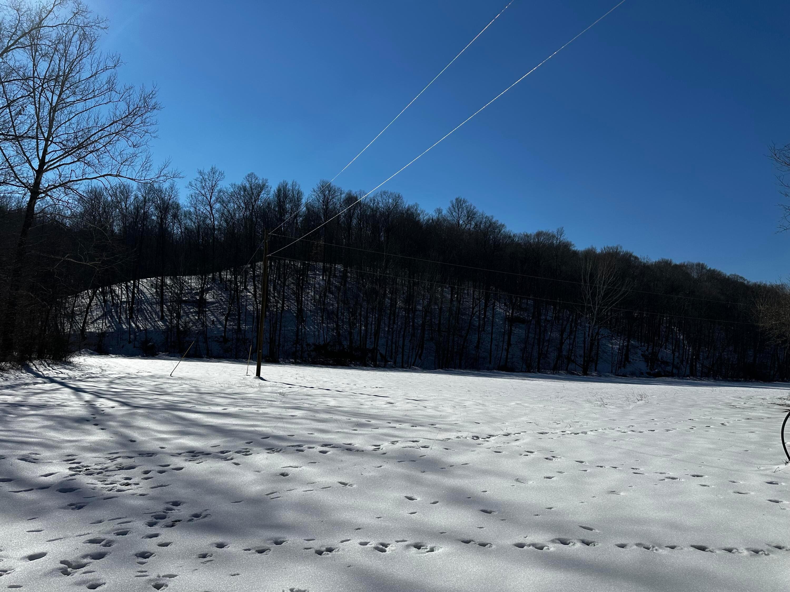 1529 Hull Road, (tract 7 Woods Wayne Forest) Property Photo 10