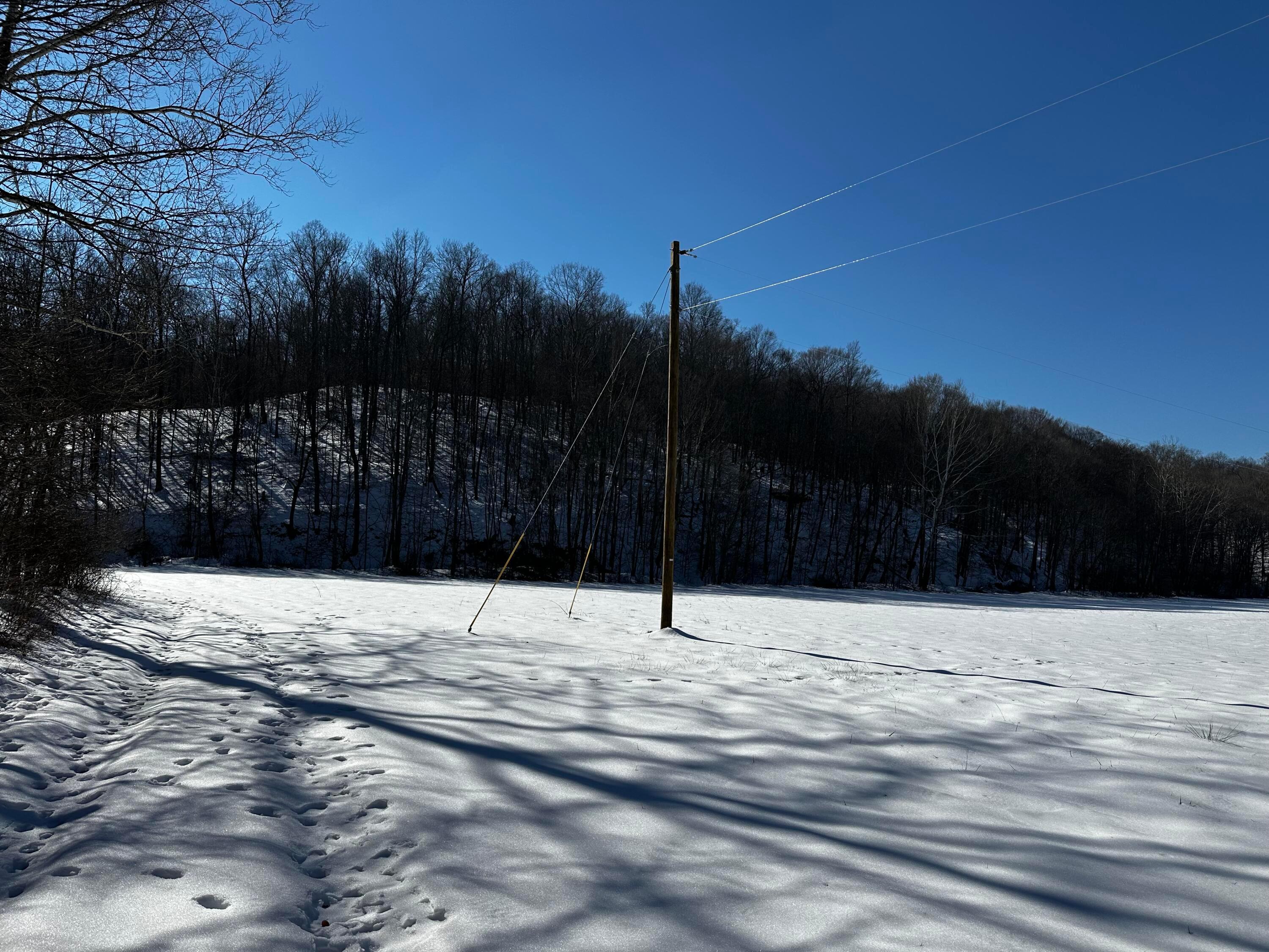 1529 Hull Road, (tract 7 Woods Wayne Forest) Property Photo 11