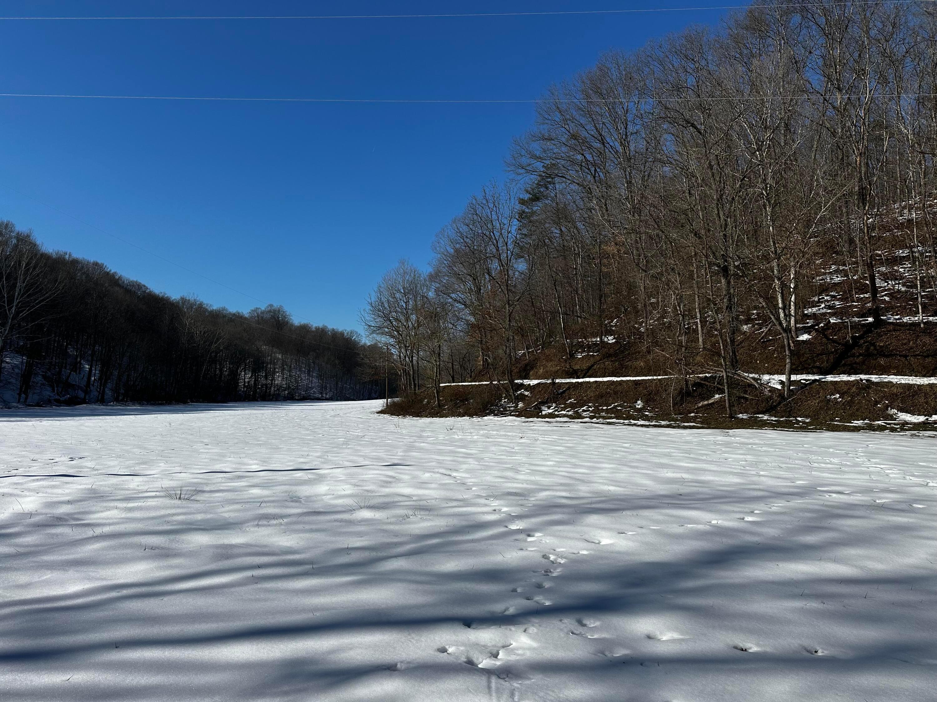 1529 Hull Road, (tract 7 Woods Wayne Forest) Property Photo 12