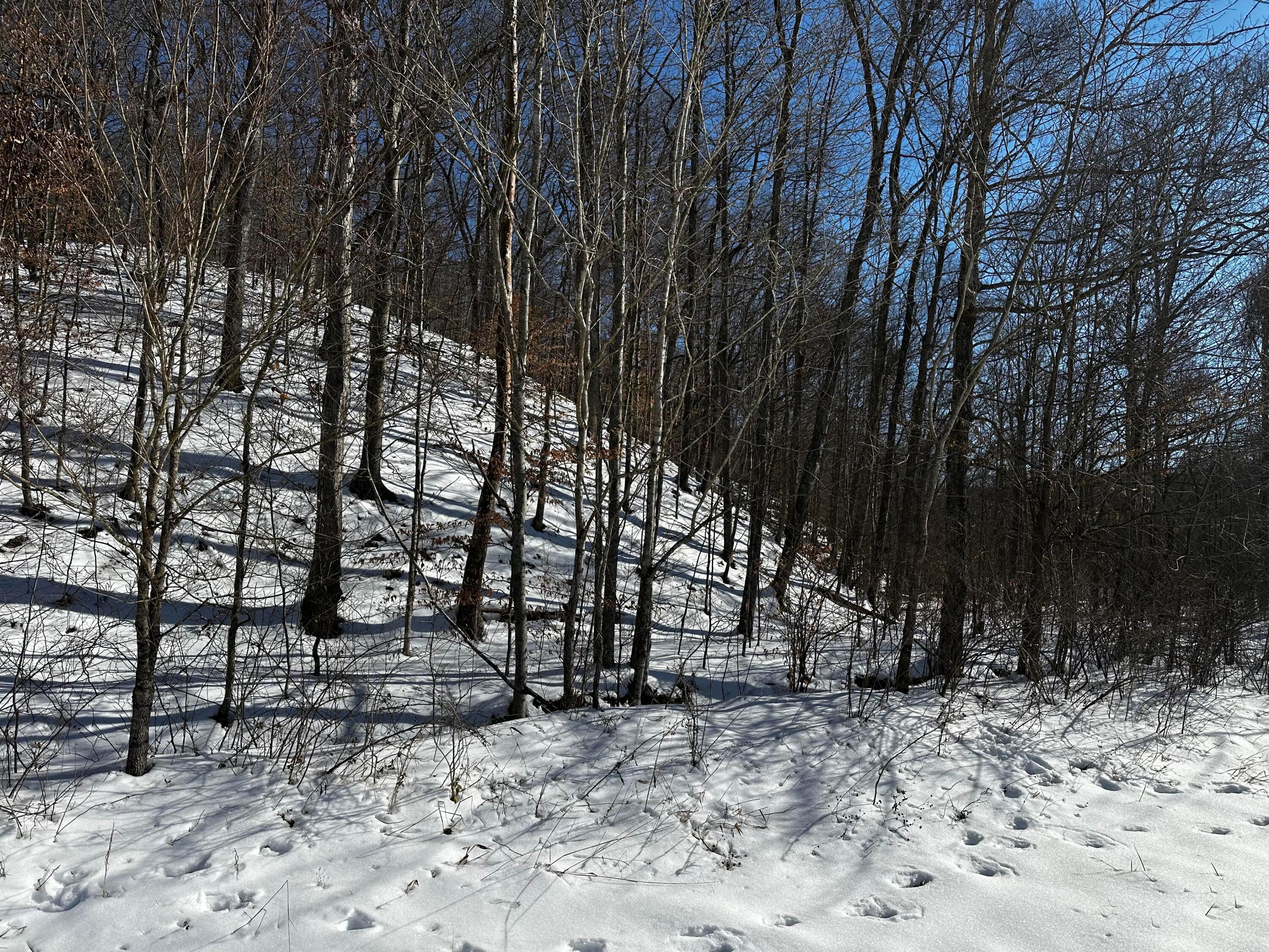 1529 Hull Road, (tract 7 Woods Wayne Forest) Property Photo 13