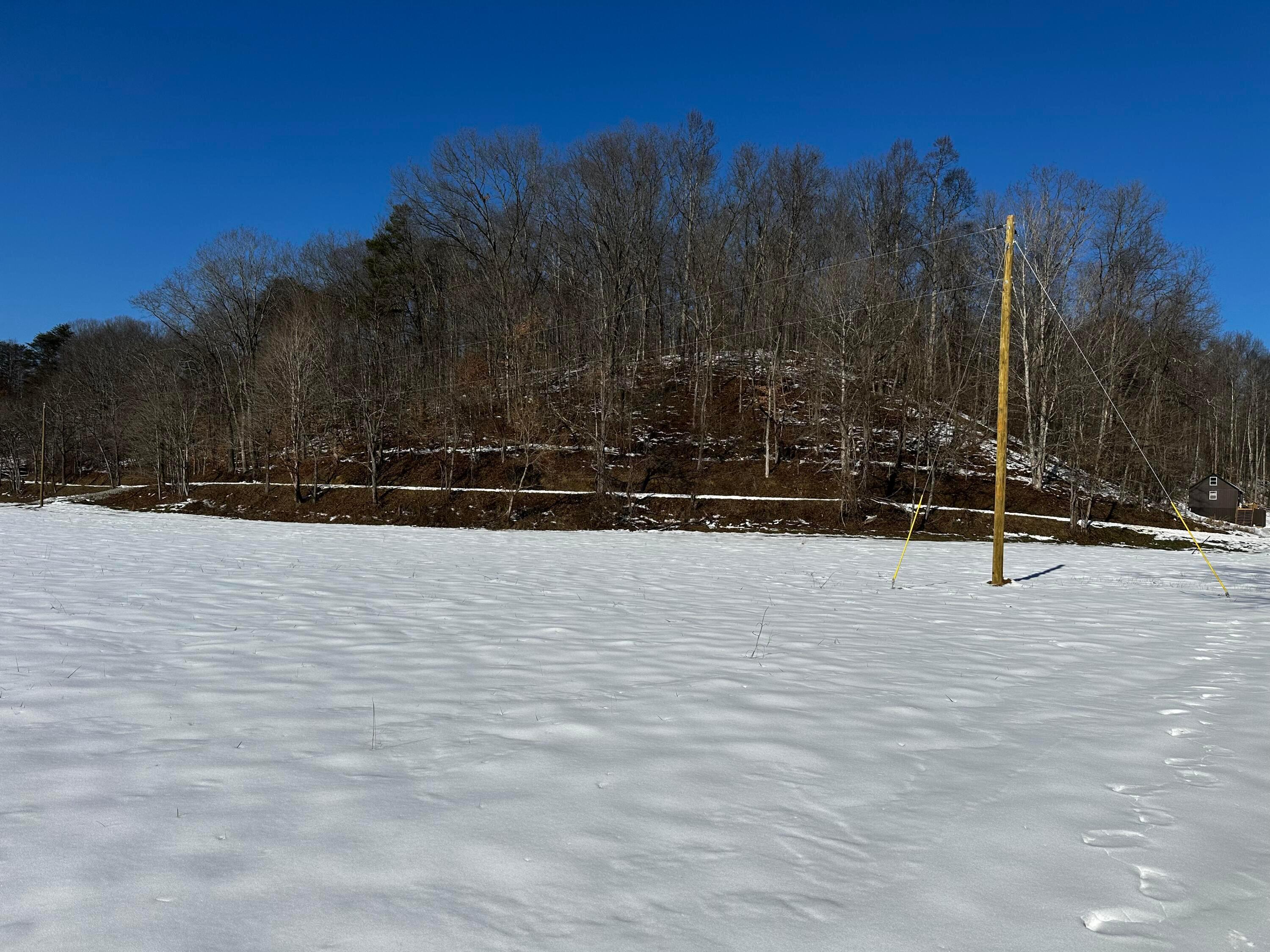 1529 Hull Road, (tract 7 Woods Wayne Forest) Property Photo 14