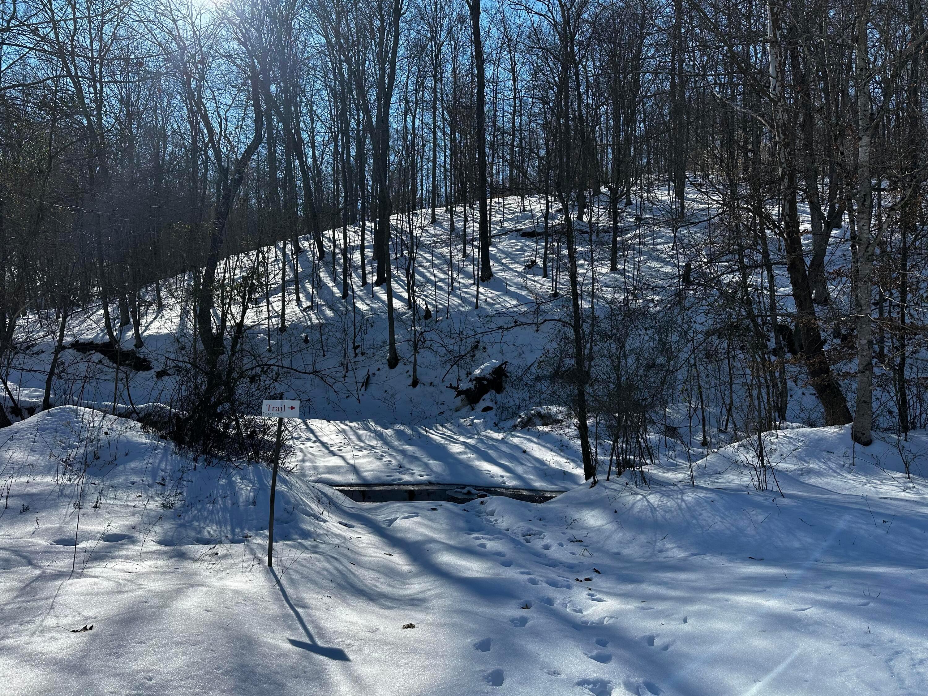 1529 Hull Road, (tract 7 Woods Wayne Forest) Property Photo 15