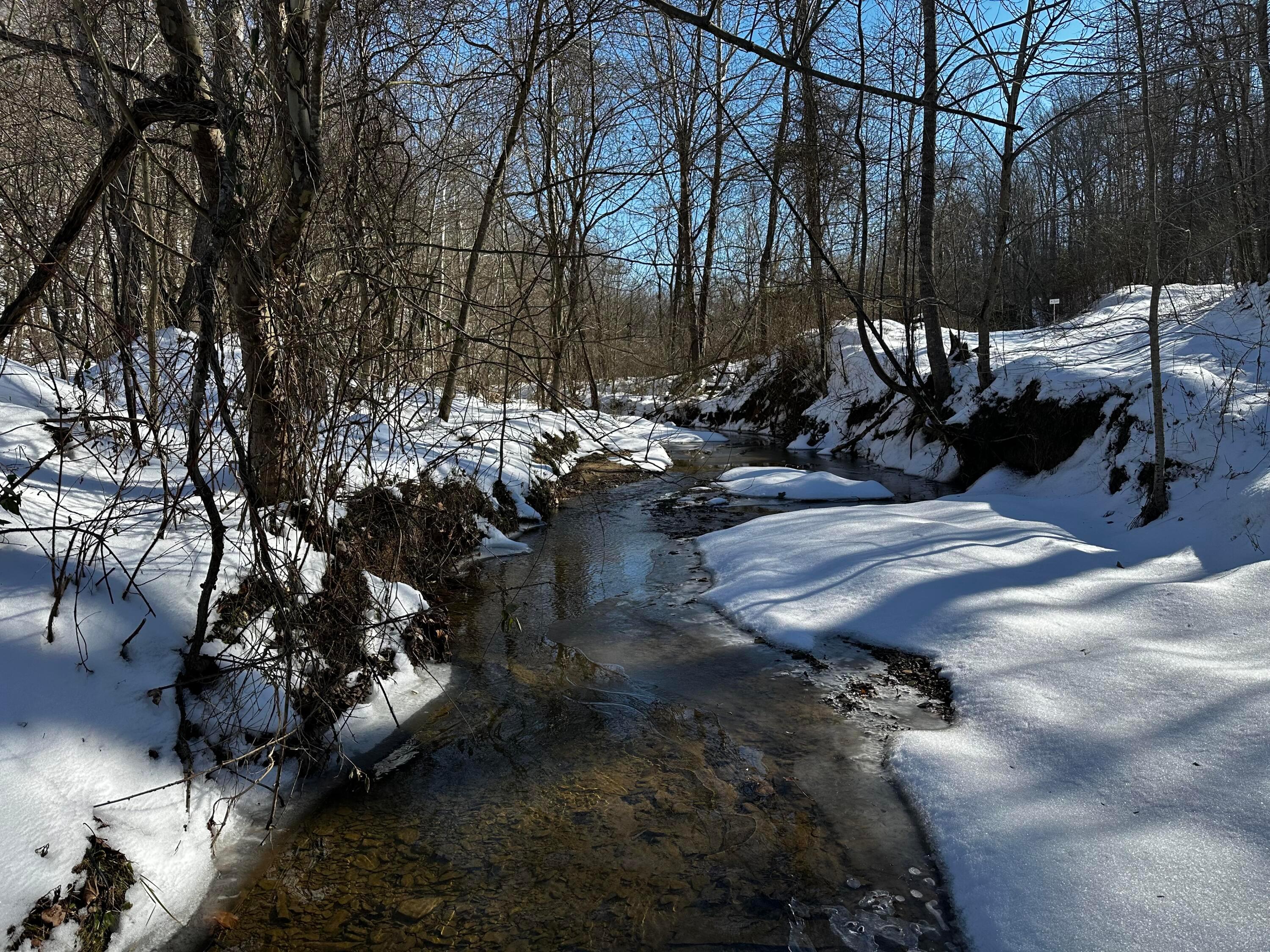 1529 Hull Road, (tract 7 Woods Wayne Forest) Property Photo 17