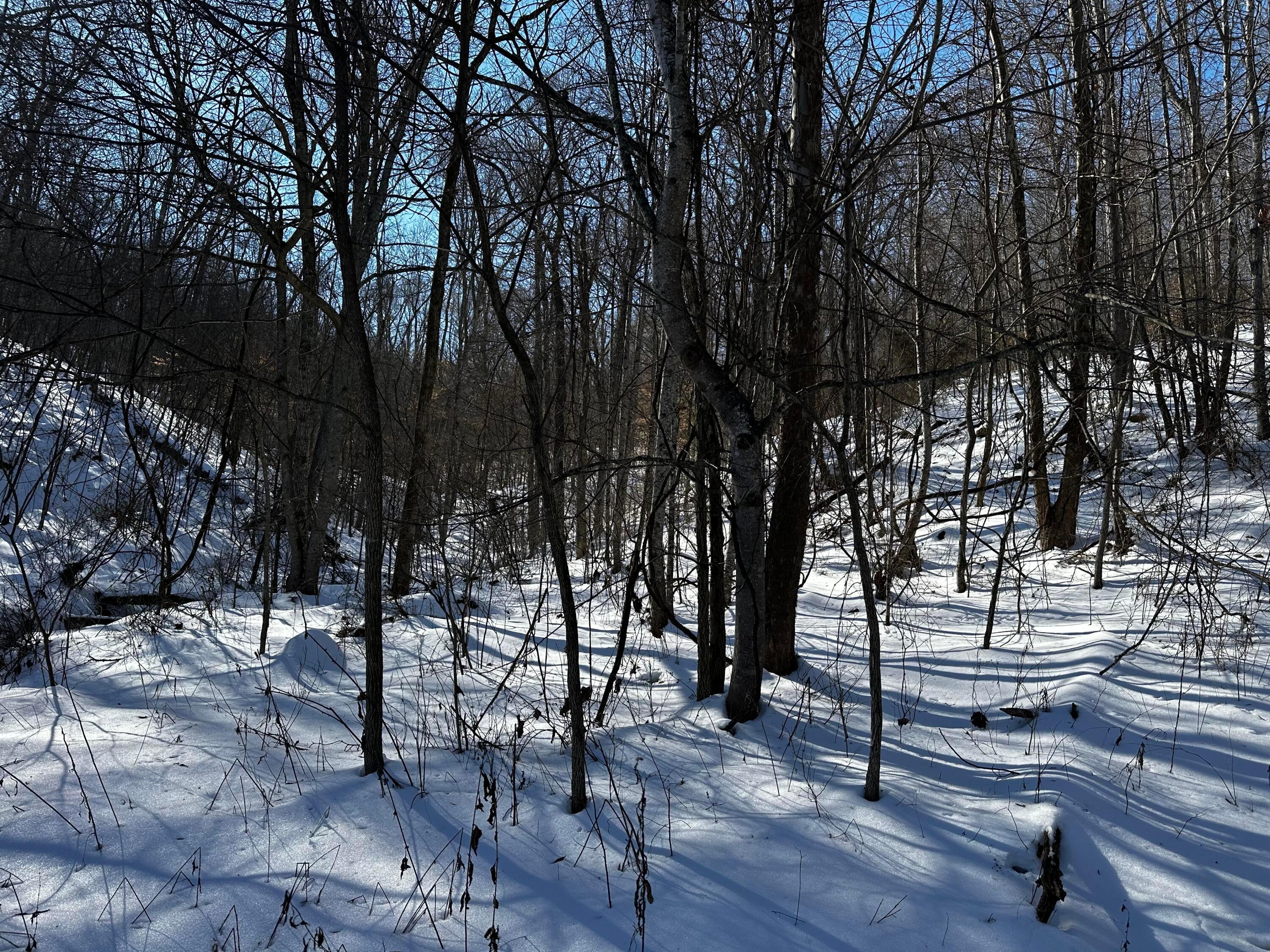 1529 Hull Road, (tract 7 Woods Wayne Forest) Property Photo 19