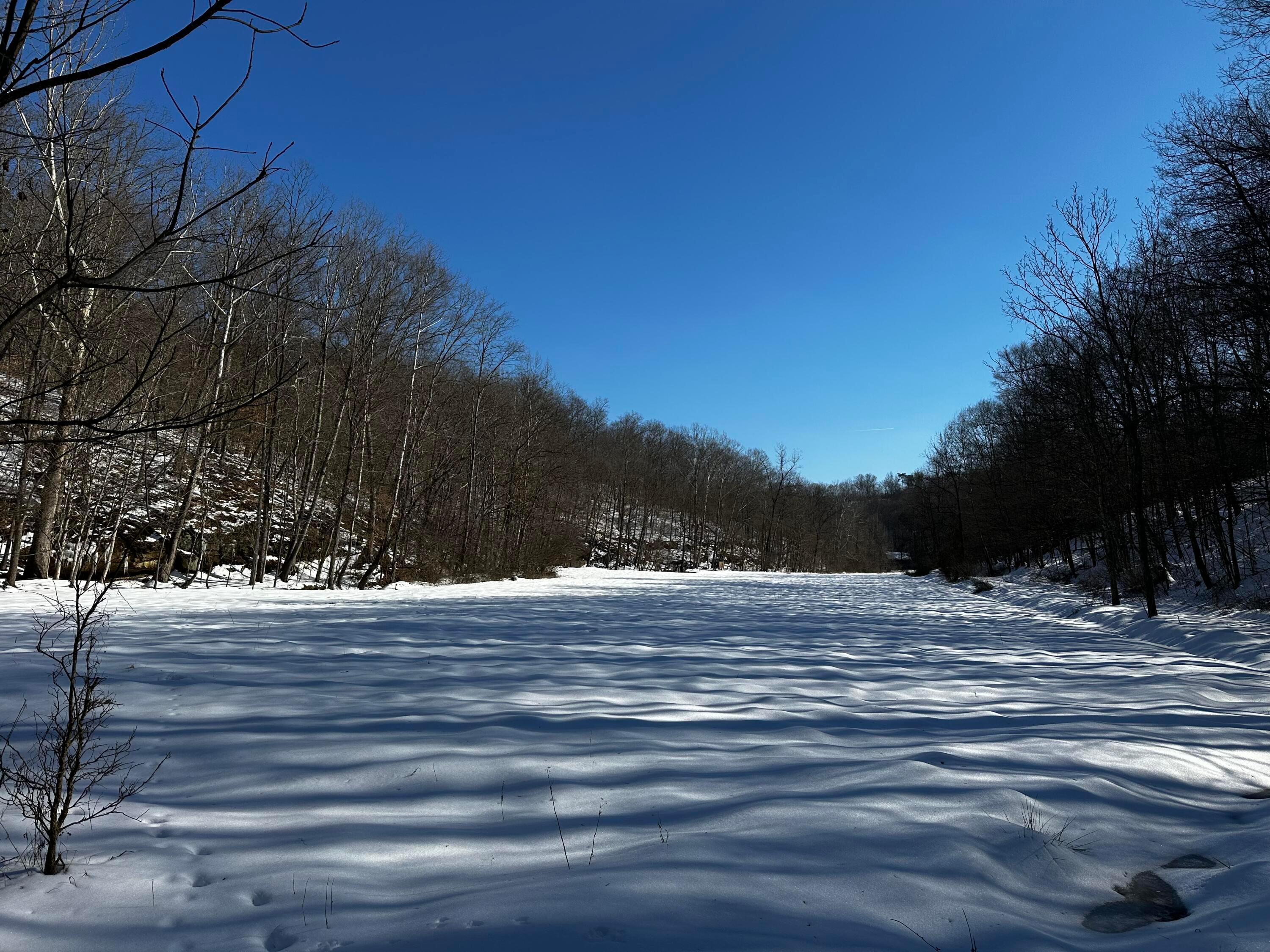 1529 Hull Road, (tract 7 Woods Wayne Forest) Property Photo 22