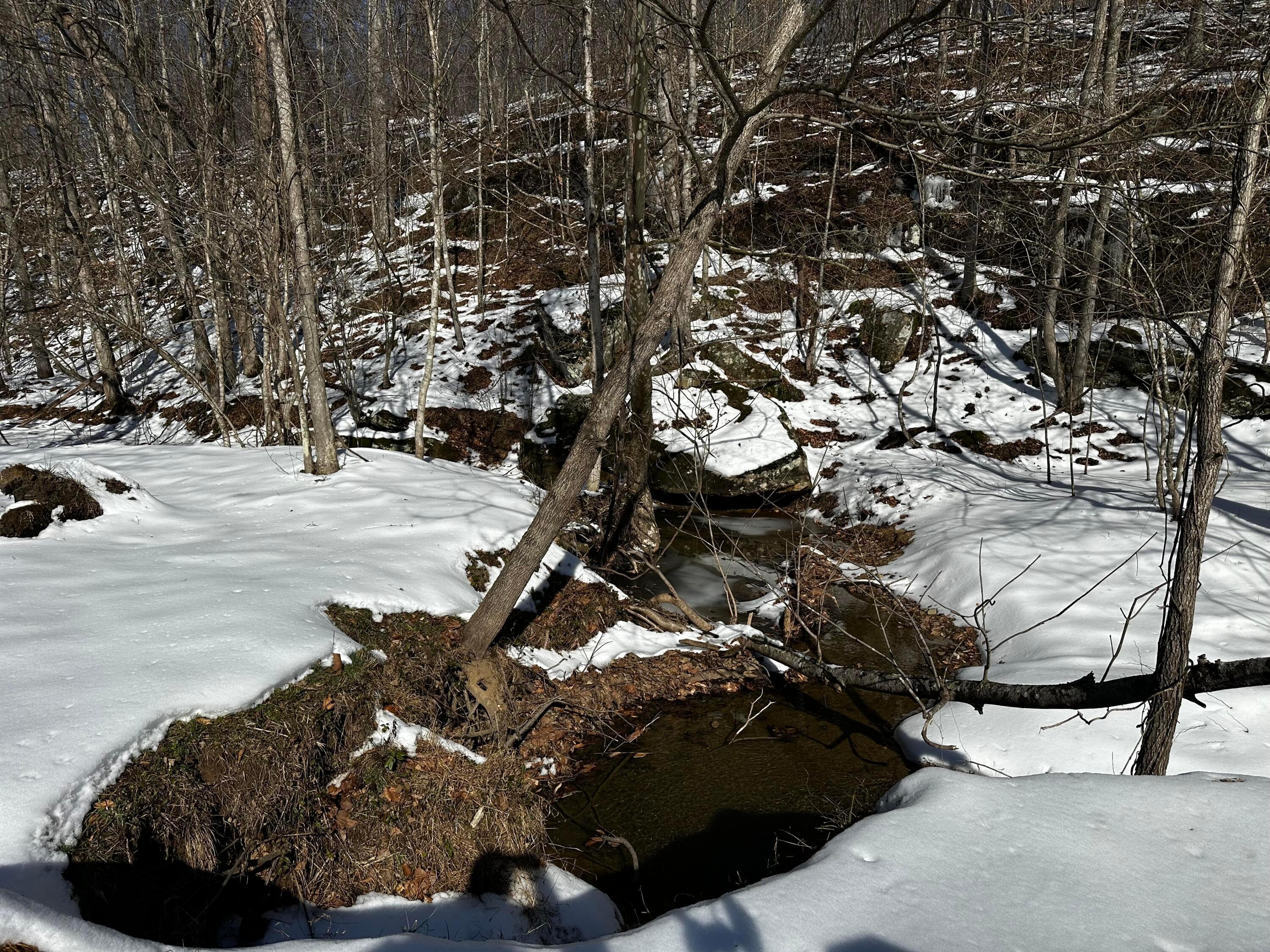 1529 Hull Road, (tract 7 Woods Wayne Forest) Property Photo 23