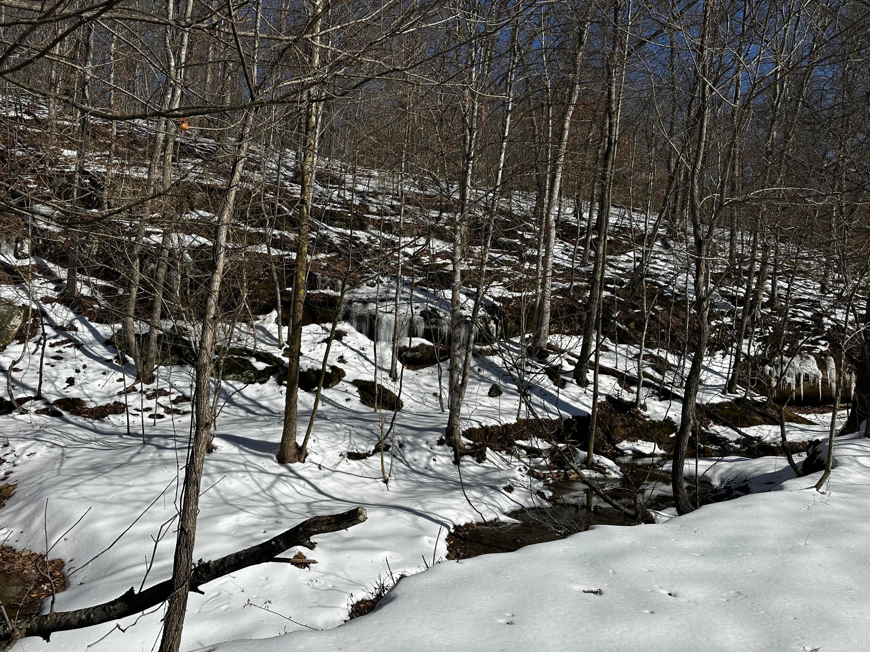 1529 Hull Road, (tract 7 Woods Wayne Forest) Property Photo 24