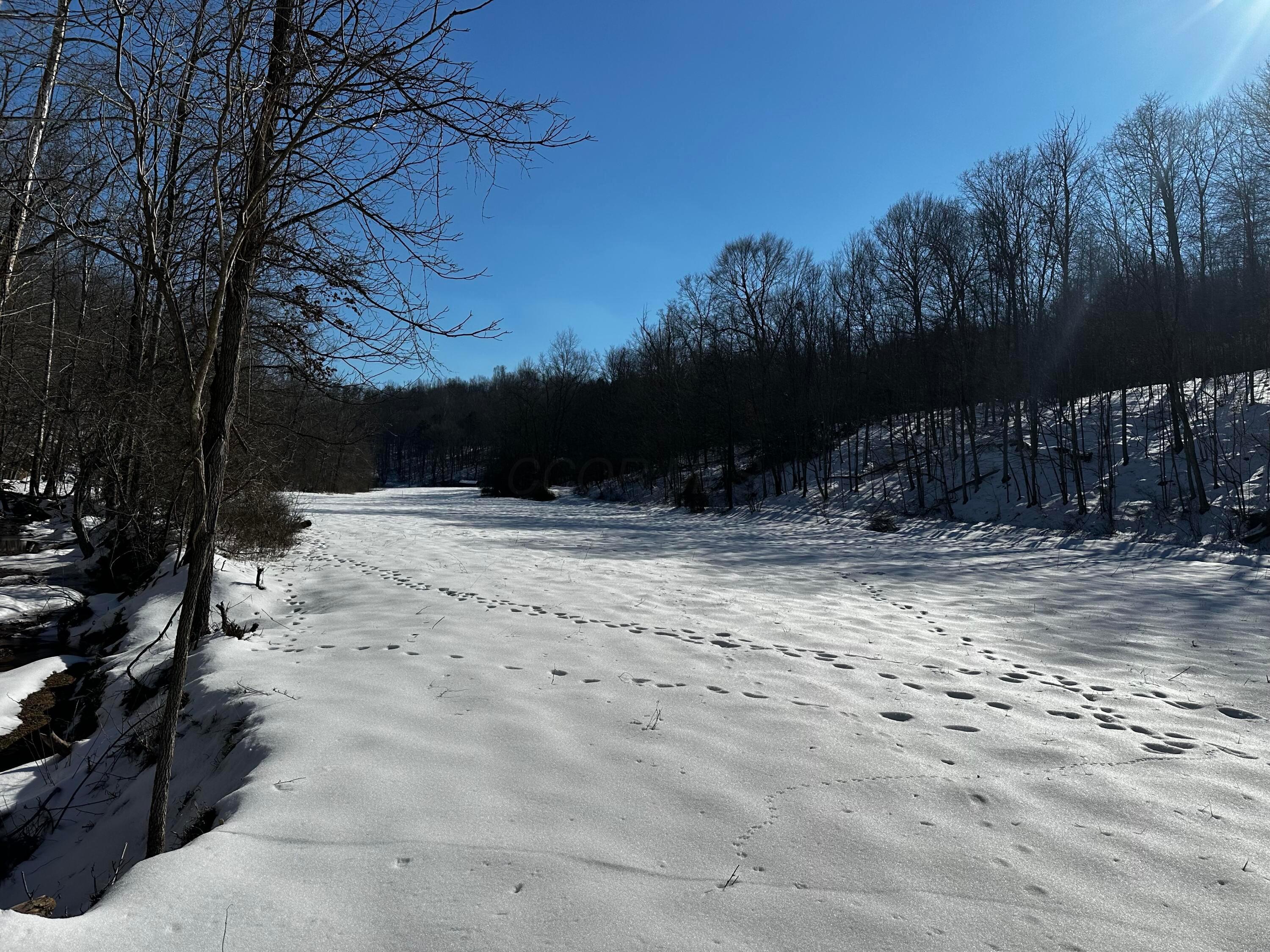 1529 Hull Road, (tract 7 Woods Wayne Forest) Property Photo 26