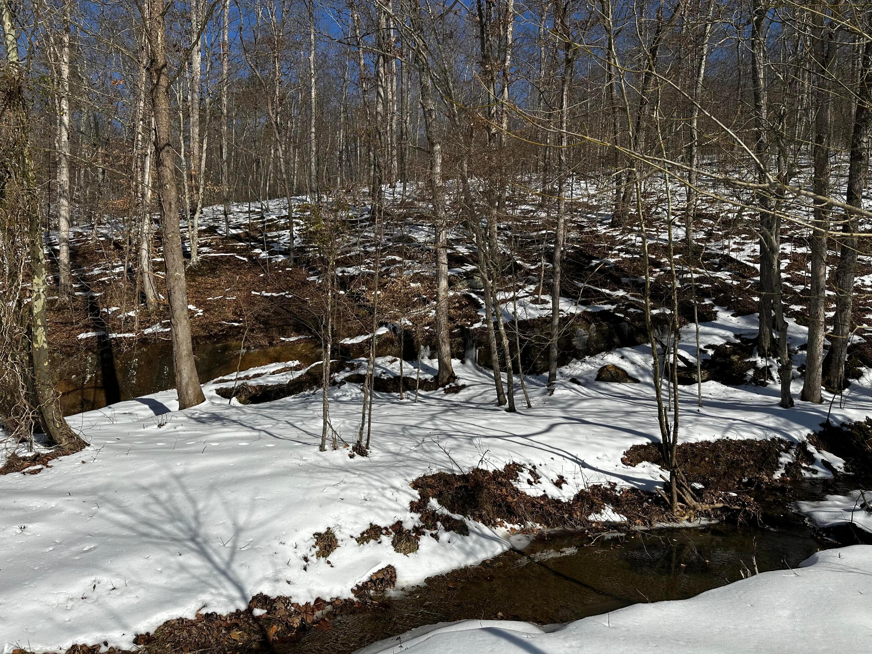 1529 Hull Road, (tract 7 Woods Wayne Forest) Property Photo 36