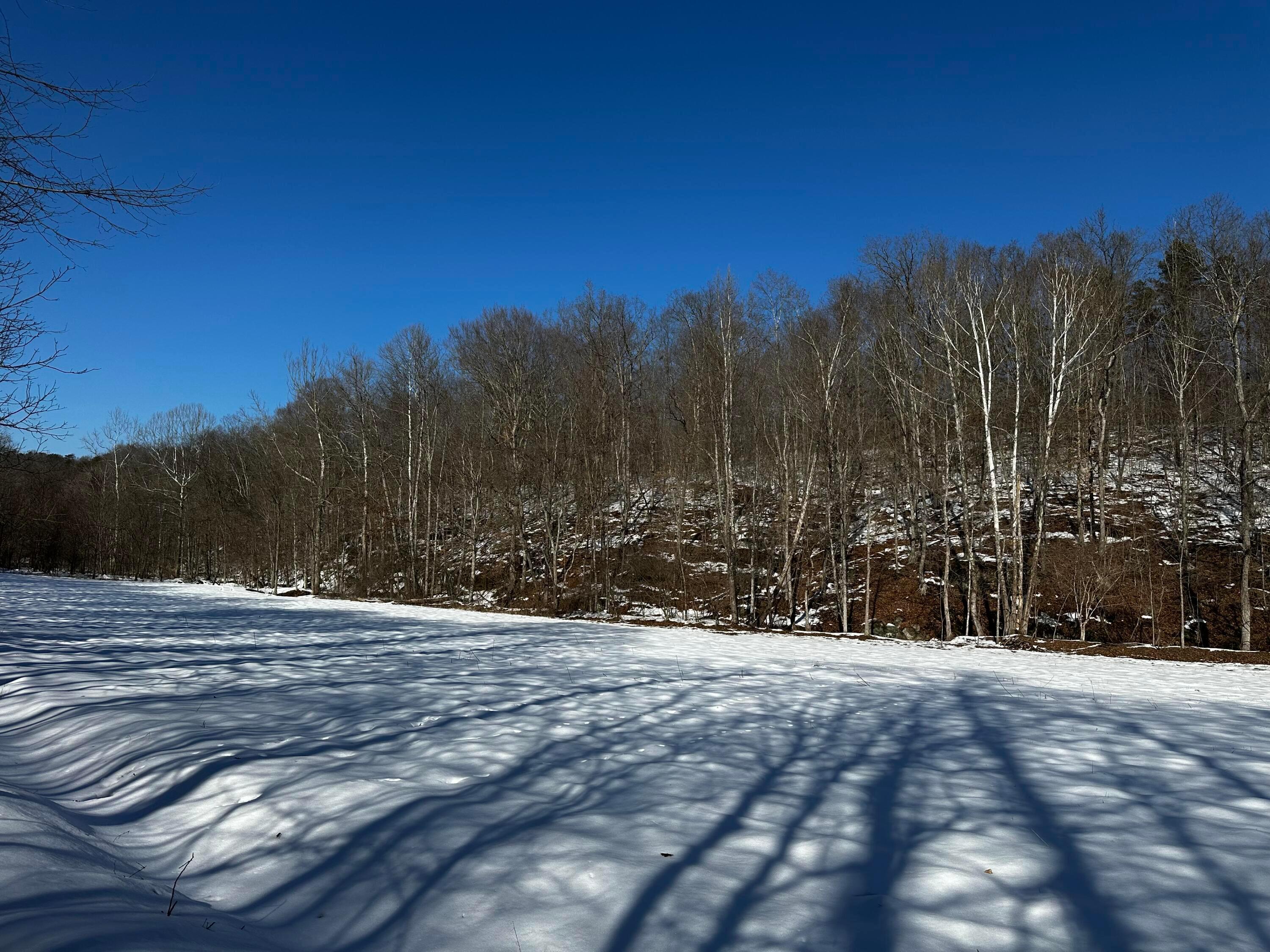 1529 Hull Road, (tract 7 Woods Wayne Forest) Property Photo 43
