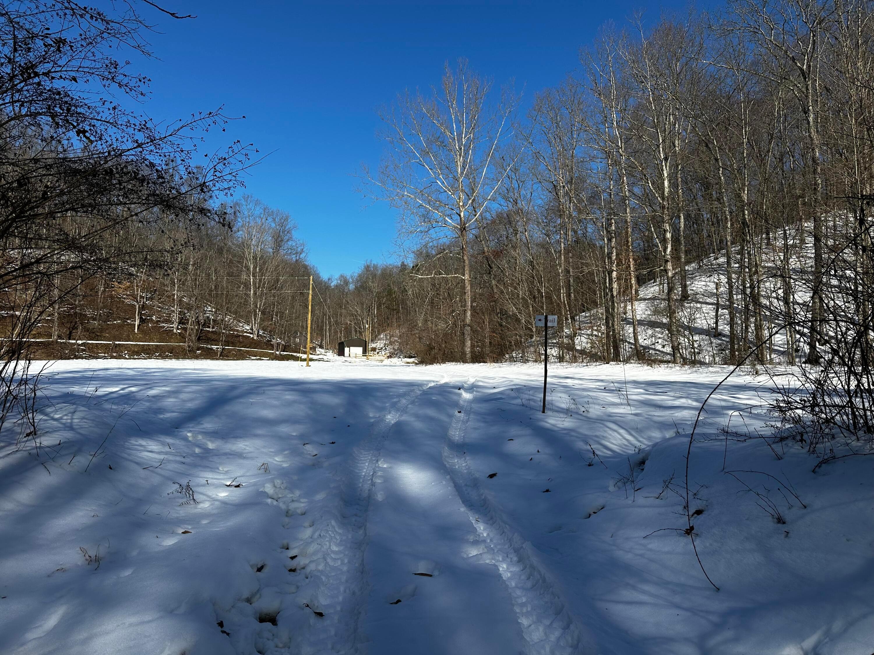 1529 Hull Road, (tract 7 Woods Wayne Forest) Property Photo 46