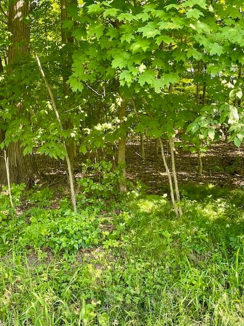 0 Sunset Drive Property Photo 3