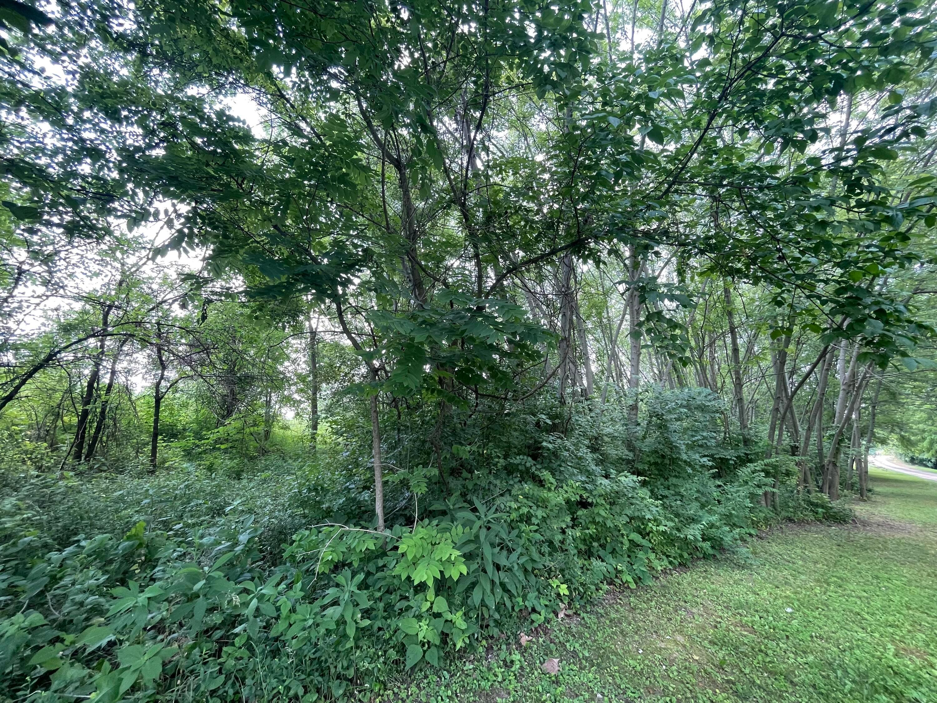 26093 Shoemaker Road Property Photo 7