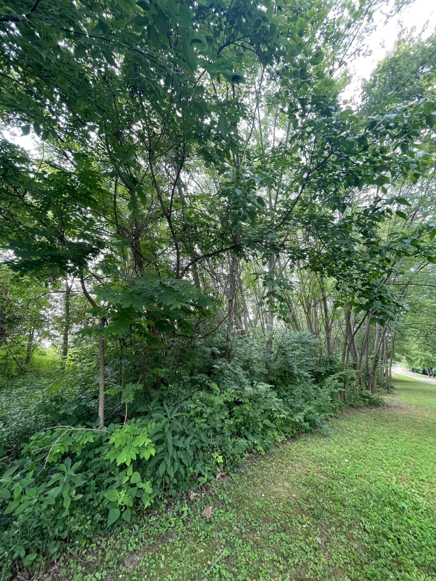 26093 Shoemaker Road Property Photo 8