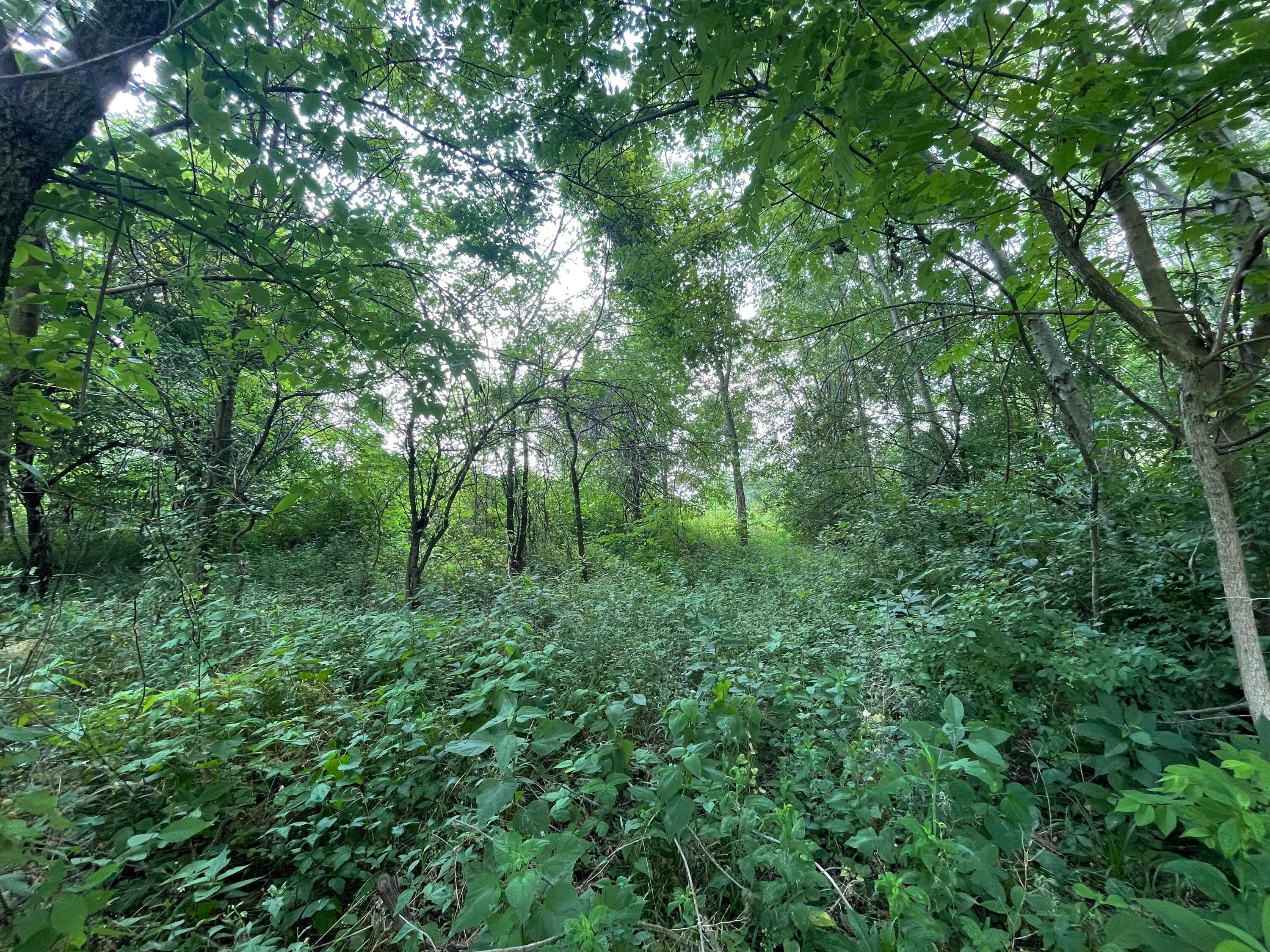 26093 Shoemaker Road Property Photo 9