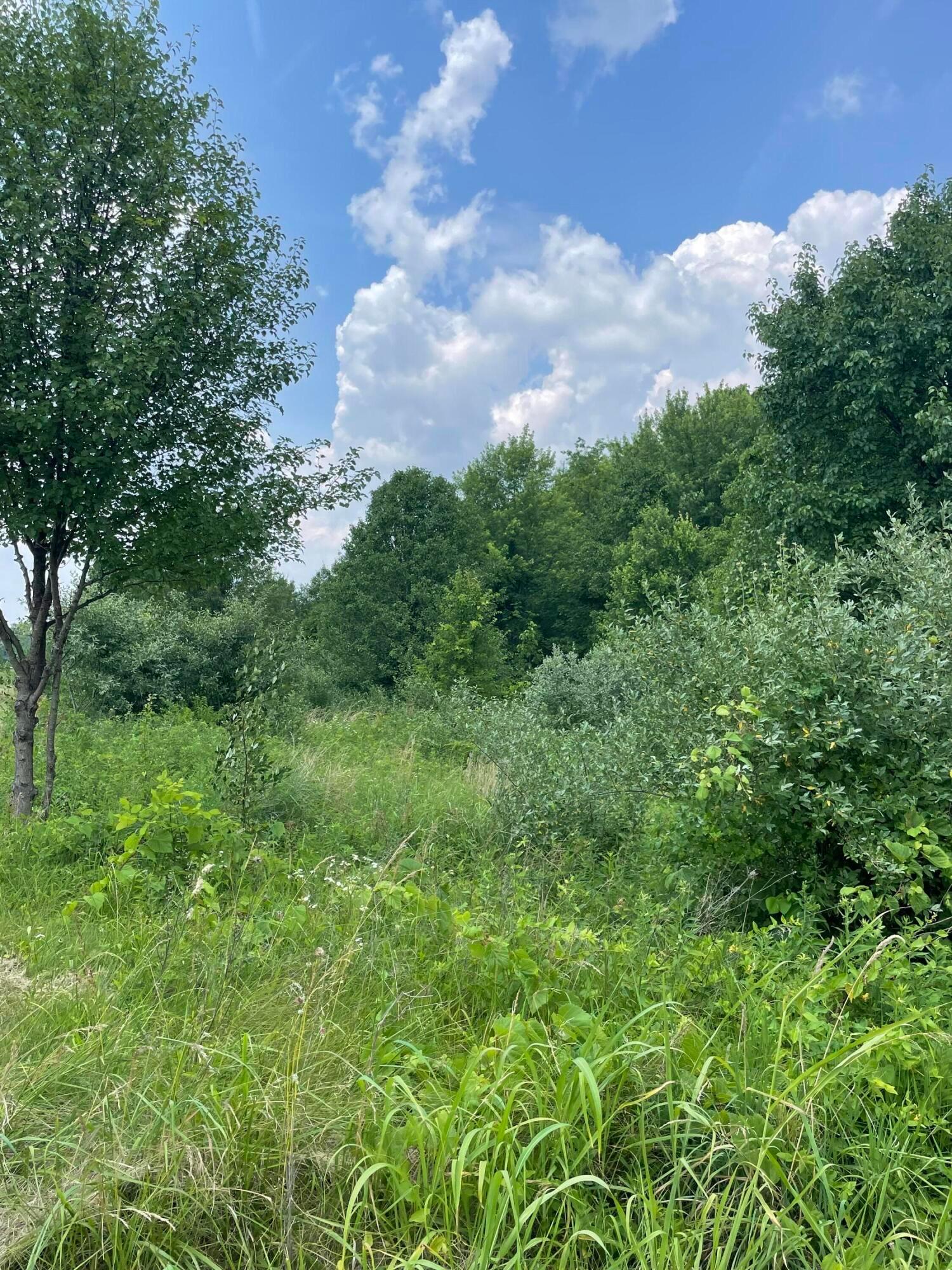 26093 Shoemaker Road Property Photo 11