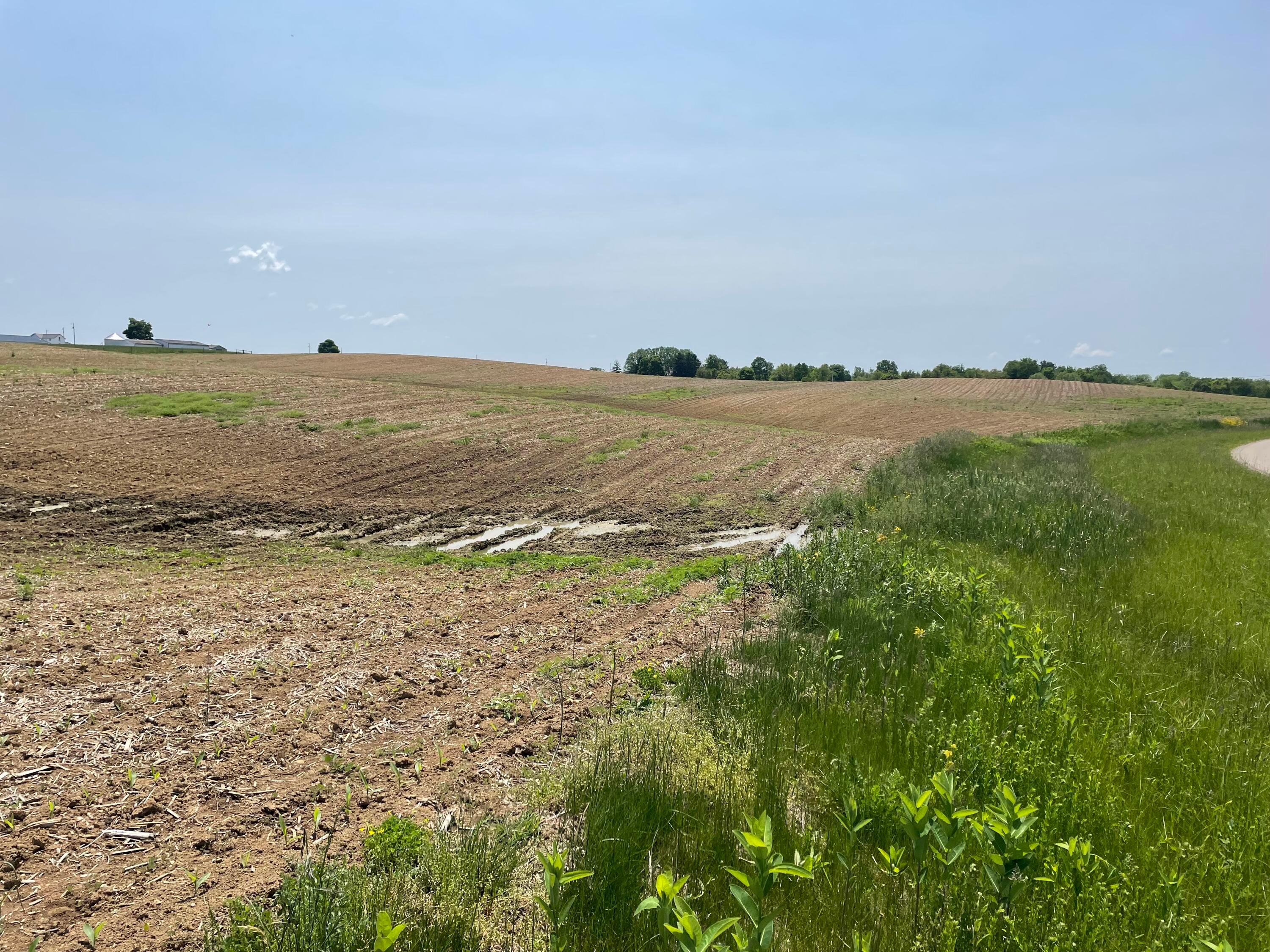 0 Strickler Road, Lot 5 Property Photo 3