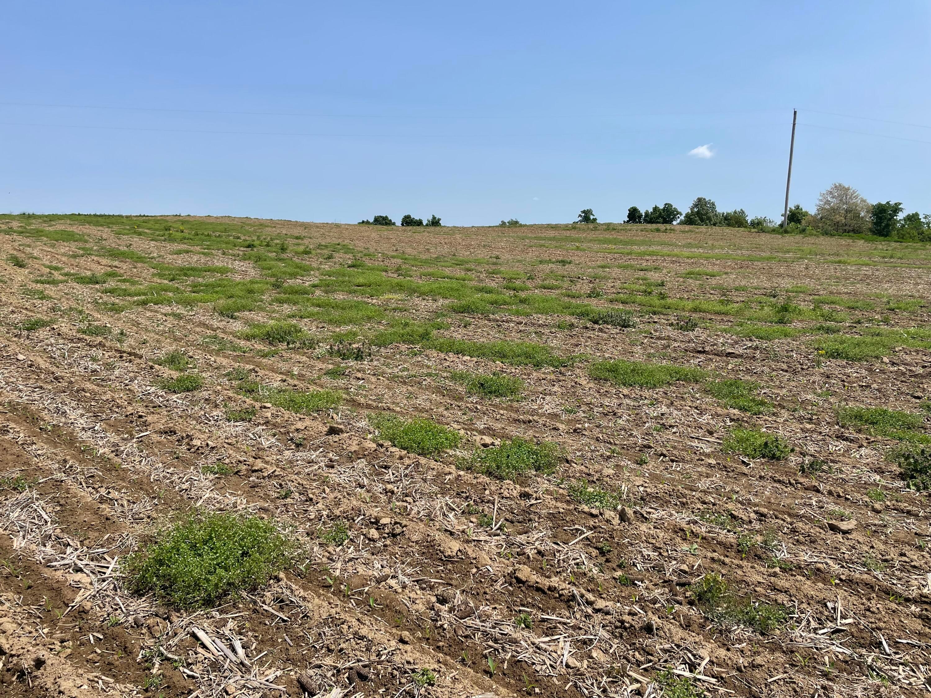 0 Strickler Road, Lot 5 Property Photo 4