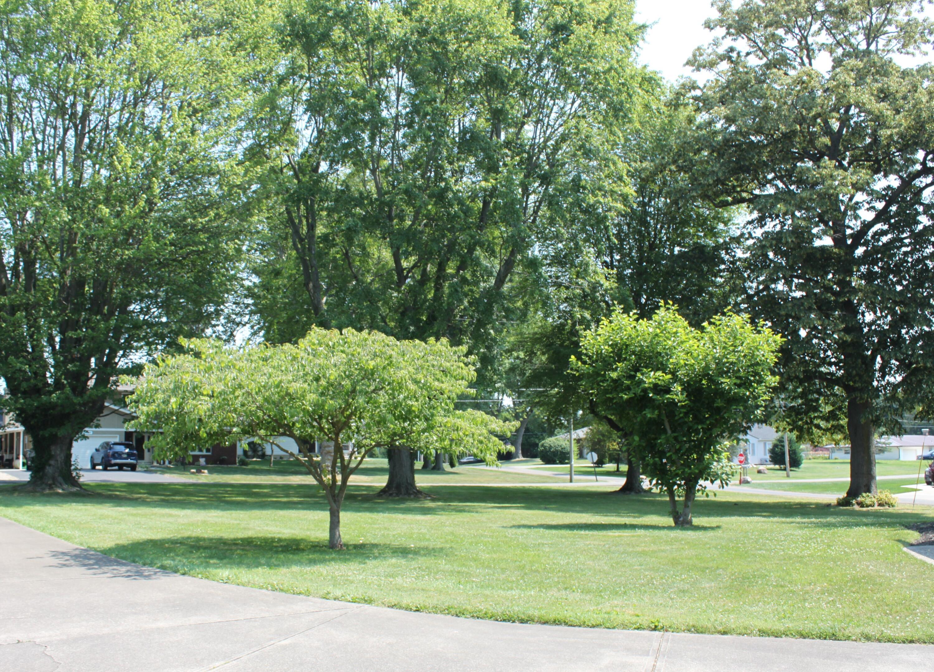 179 Wilshire Drive Property Photo 39