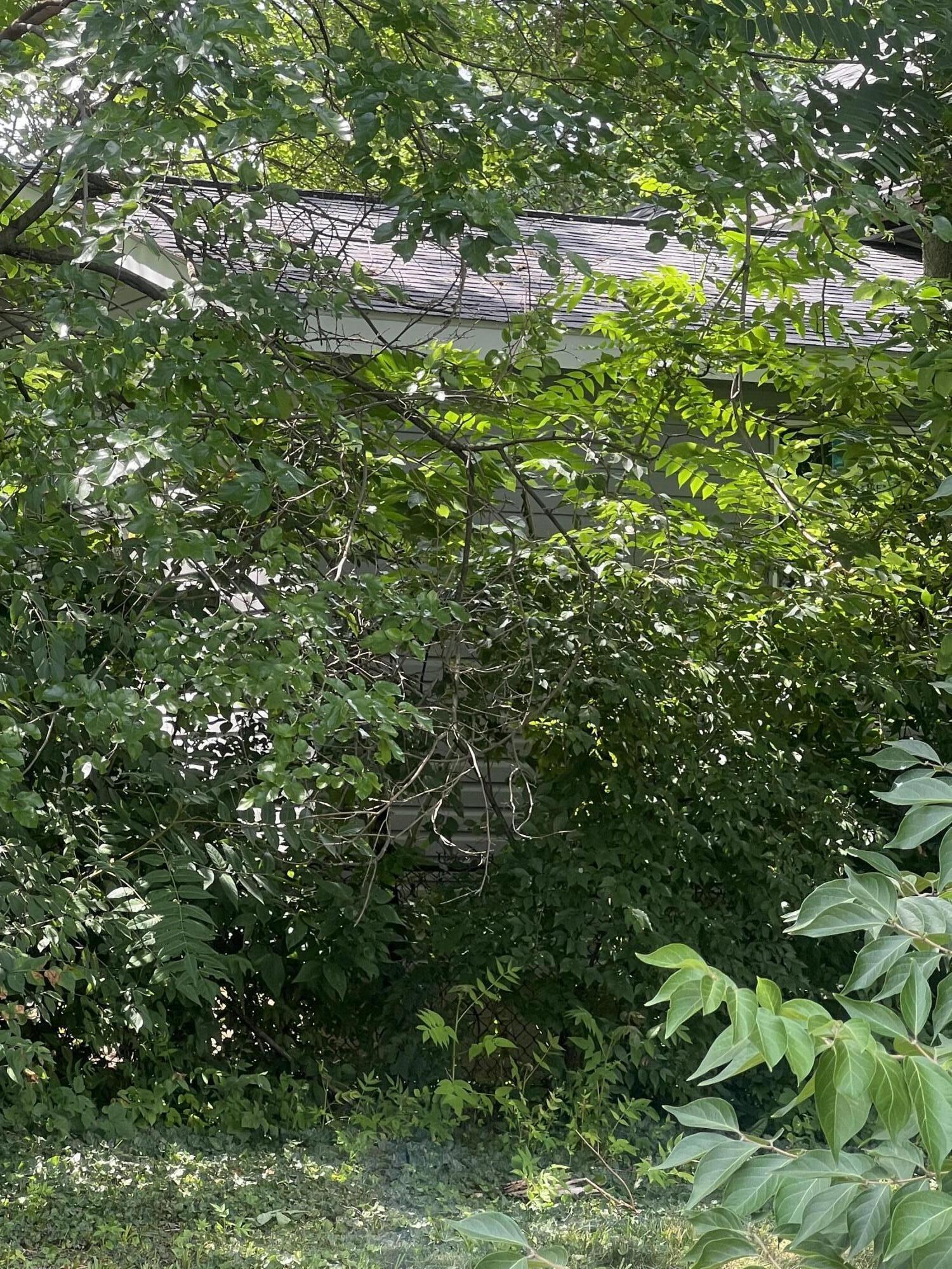 1341 E Fulton Street Property Photo 4