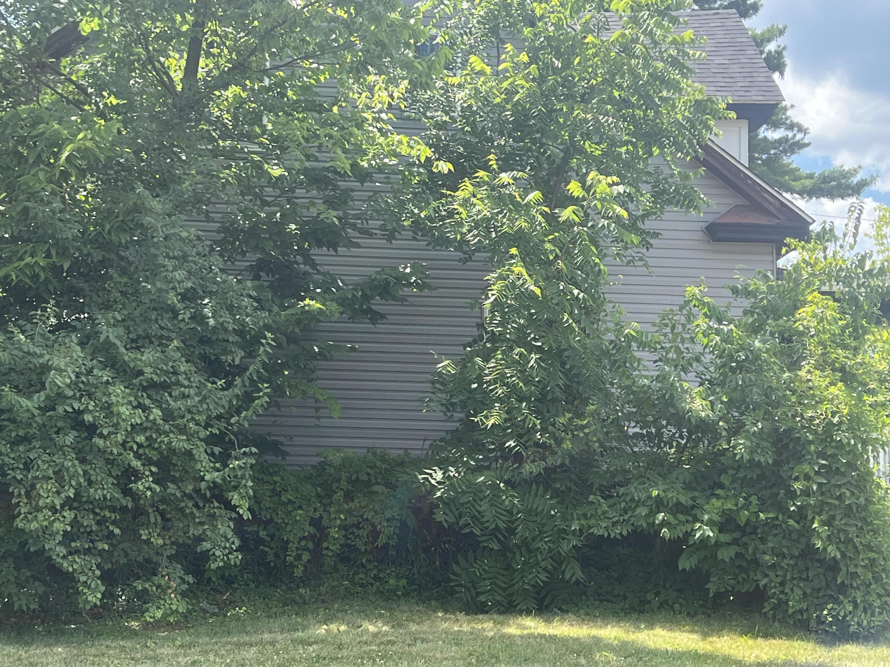 1341 E Fulton Street Property Photo 6