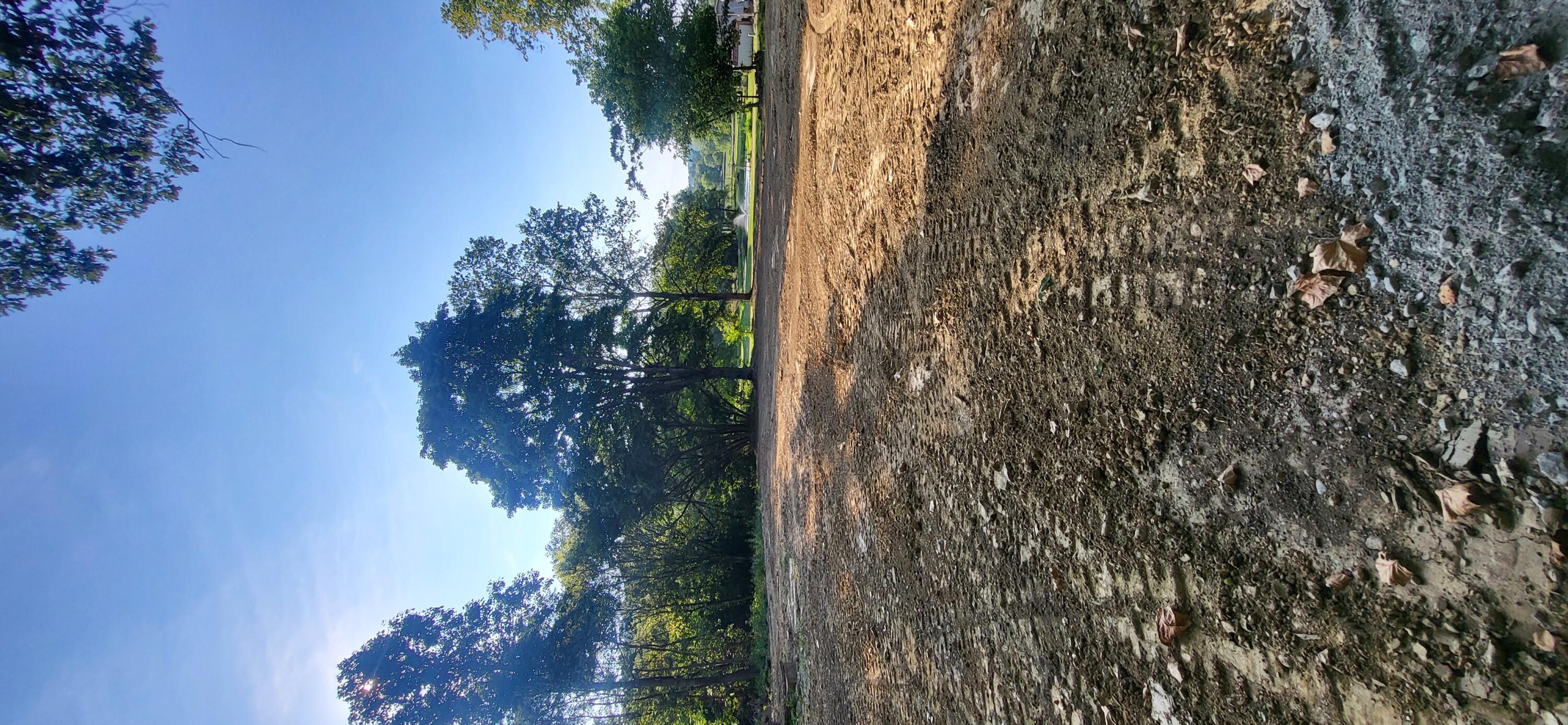 965 Graves Road Property Photo 15