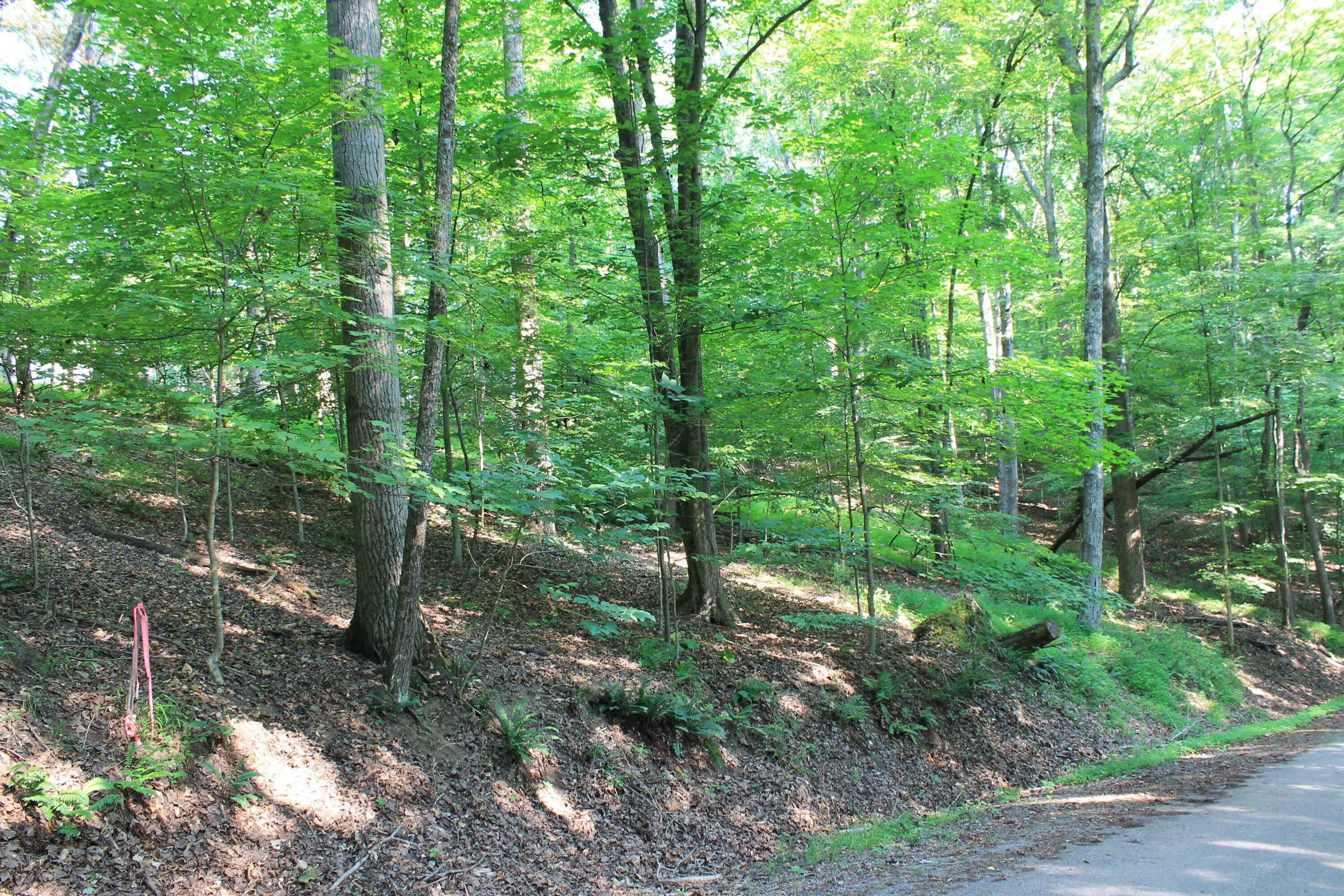 408 Mohican Lane Property Photo