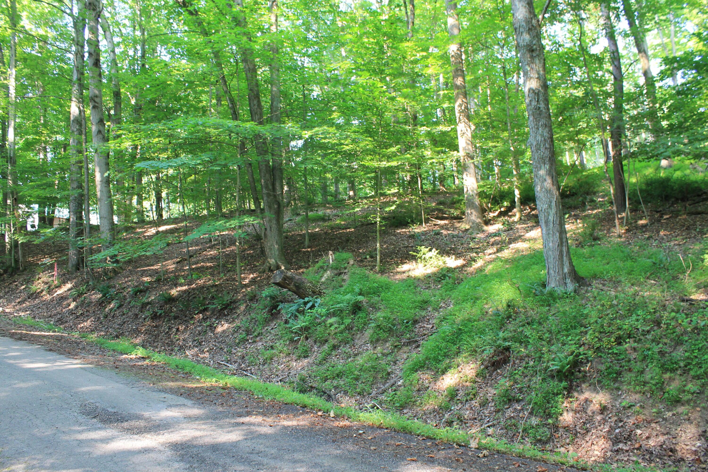 408 Mohican Lane Property Photo 2