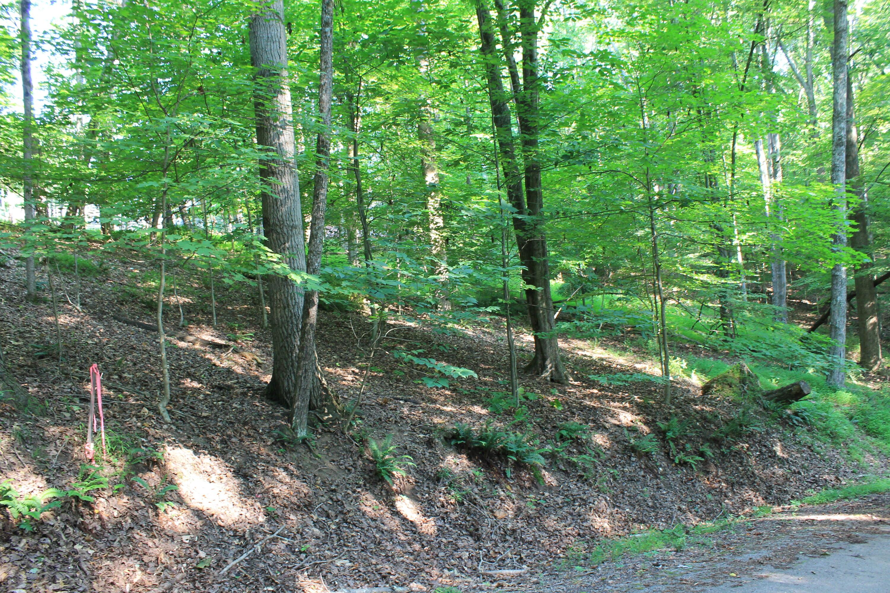 408 Mohican Lane Property Photo 3
