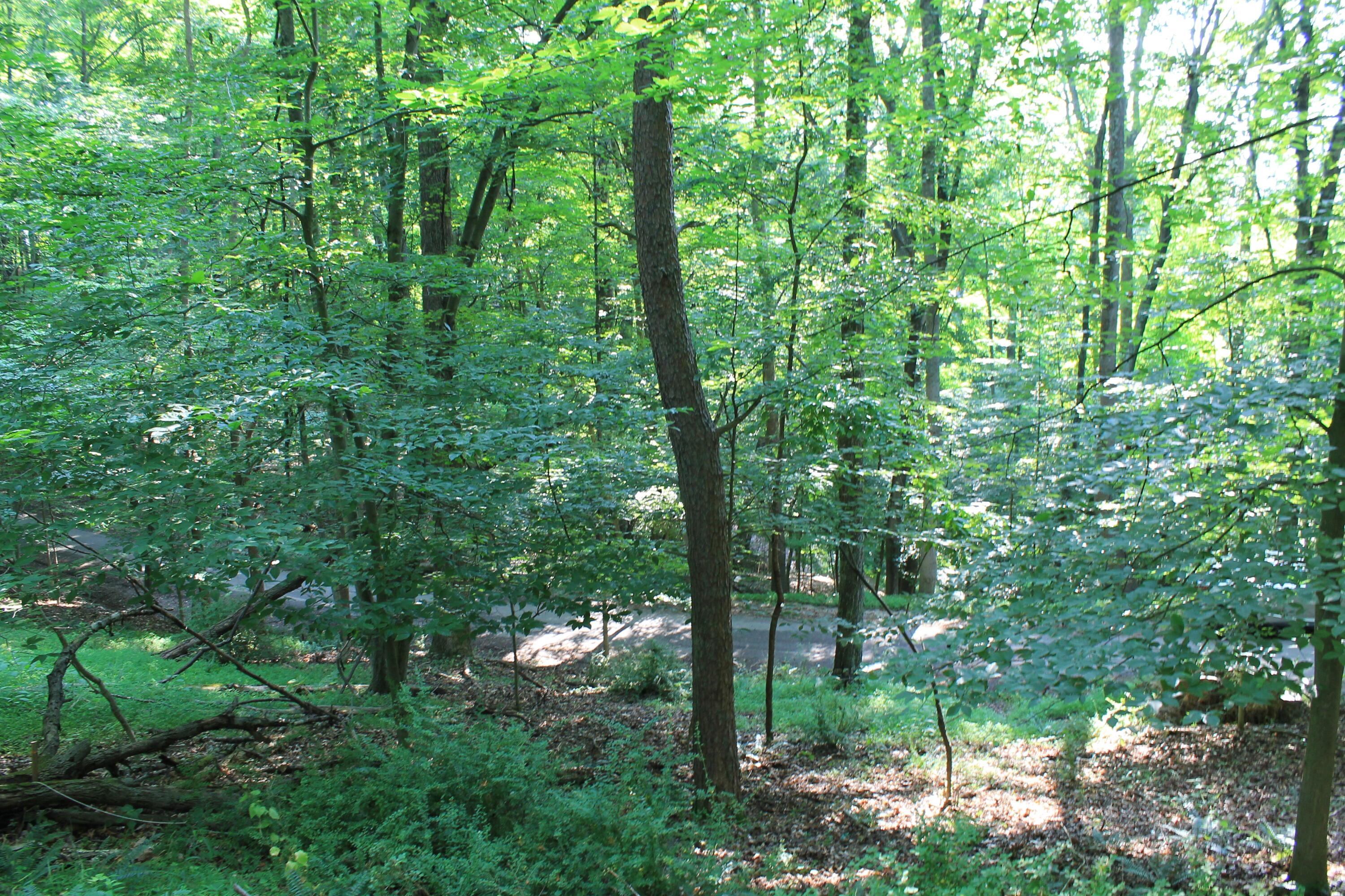 408 Mohican Lane Property Photo 5