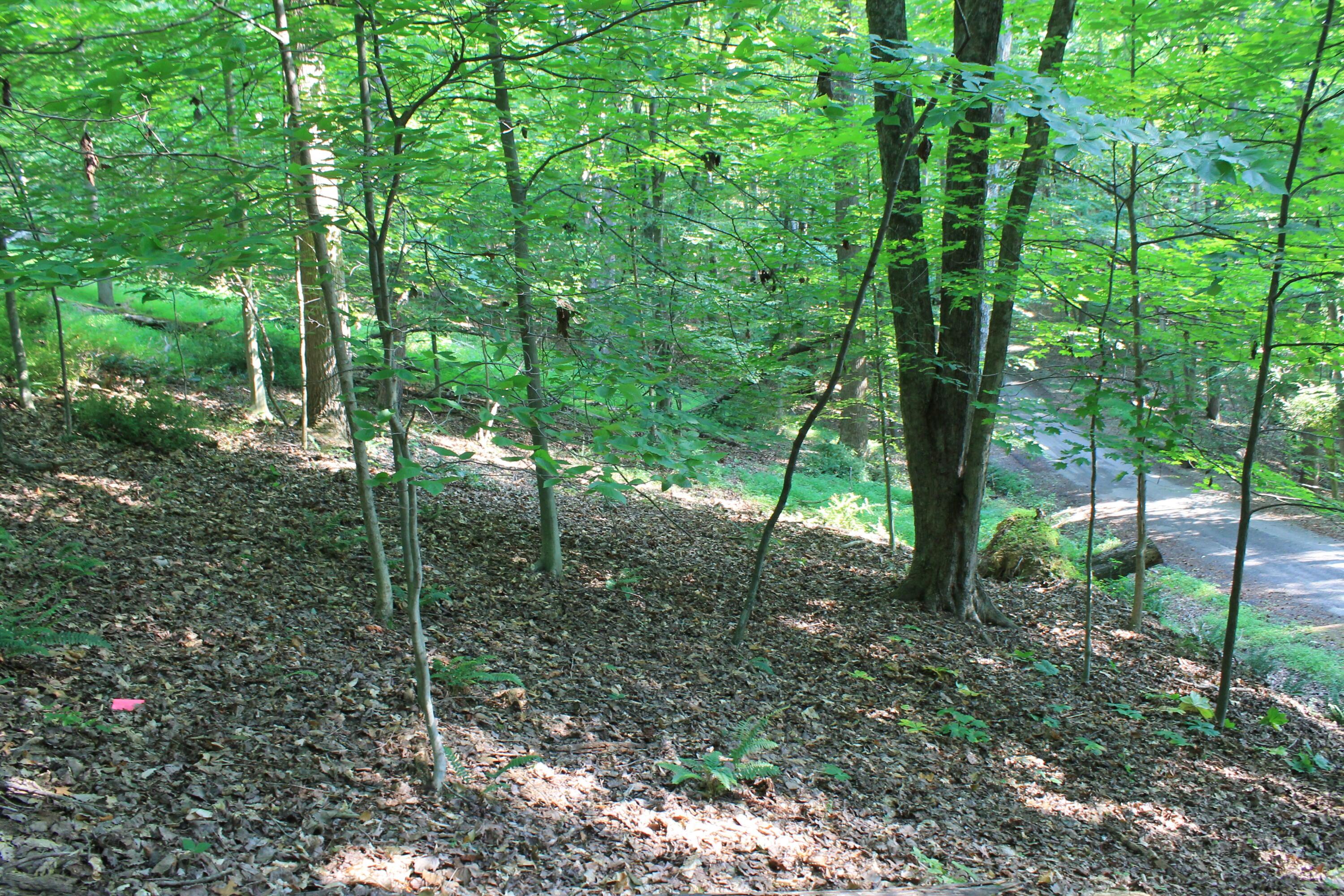 408 Mohican Lane Property Photo 6