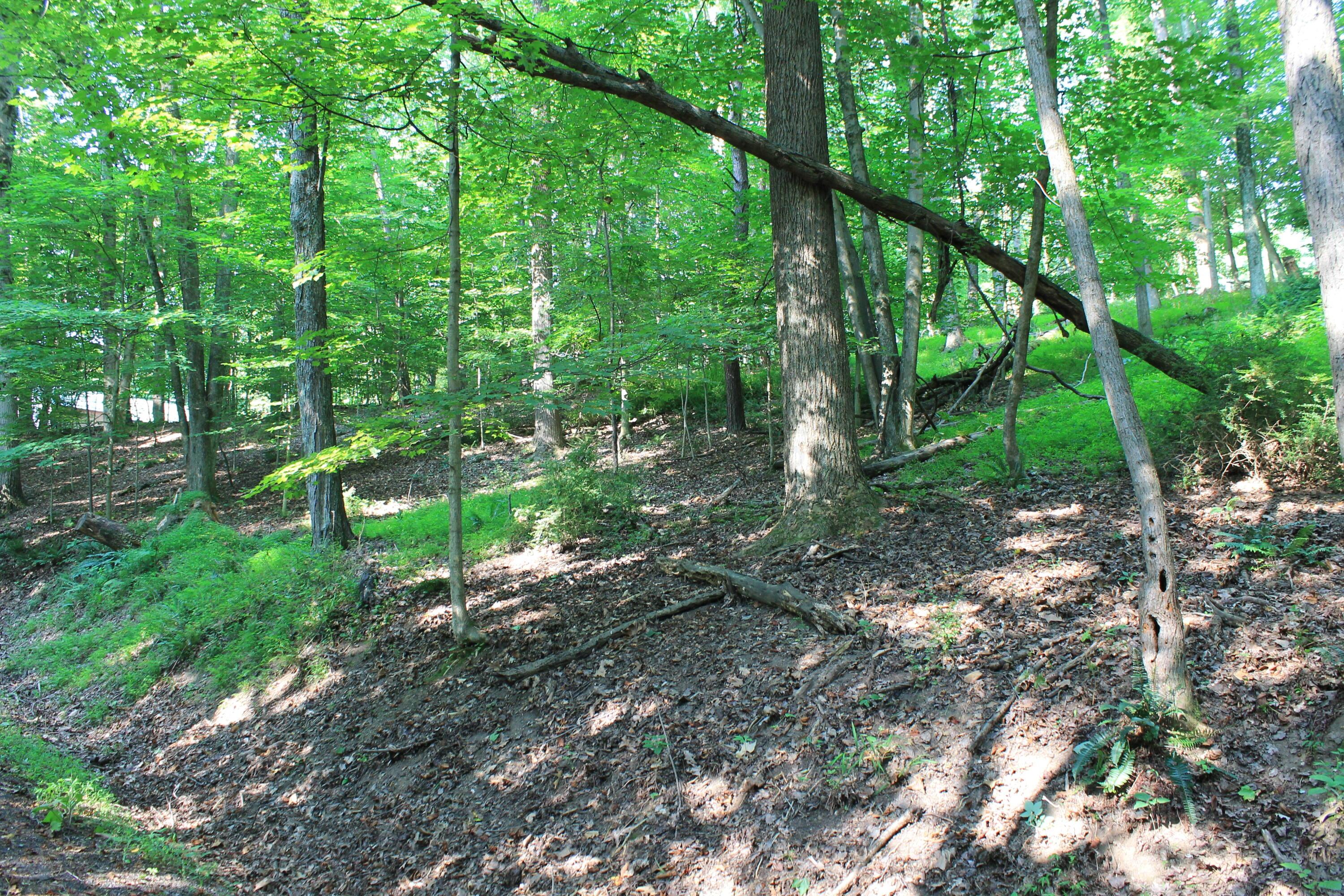 408 Mohican Lane Property Photo 7
