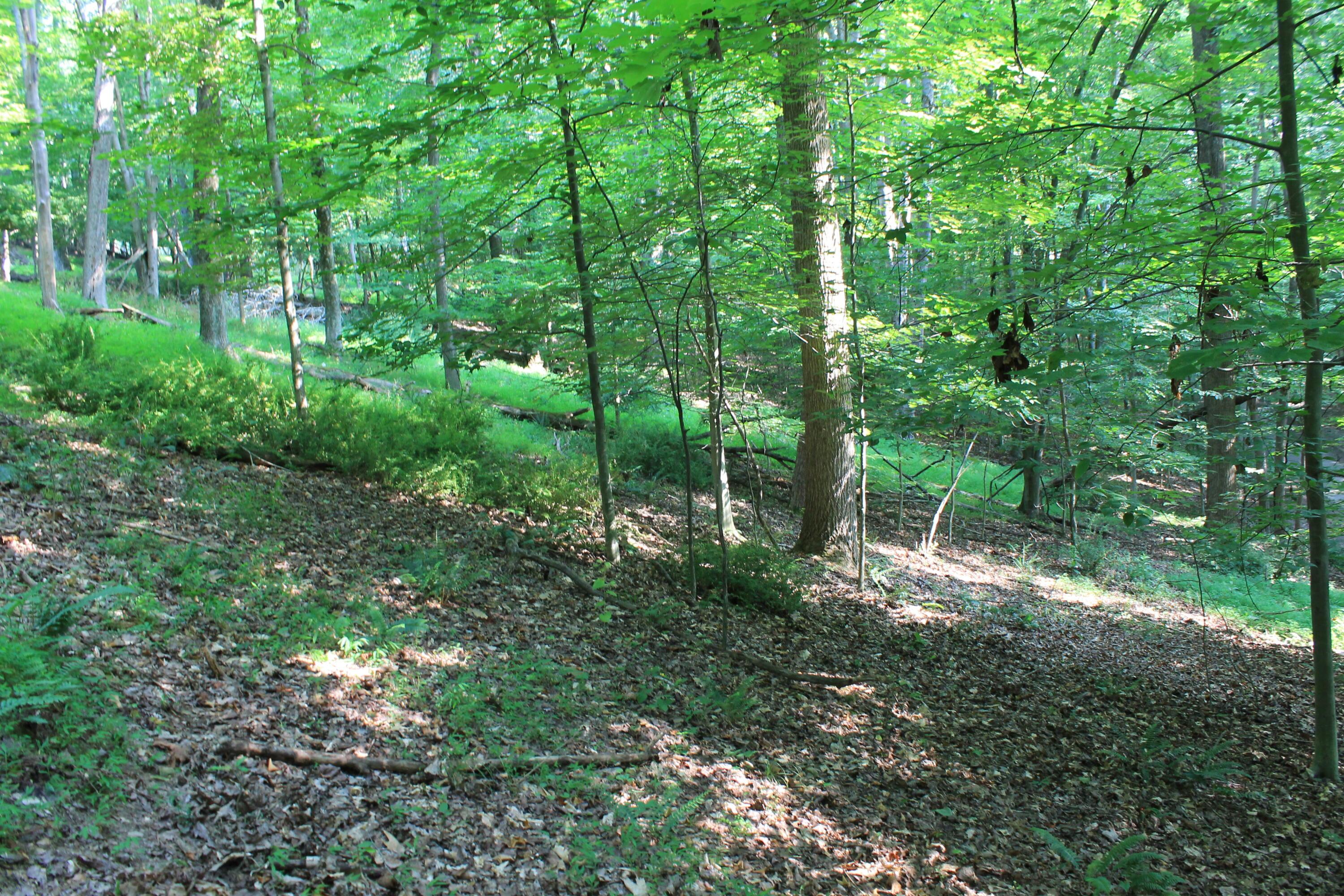 408 Mohican Lane Property Photo 8
