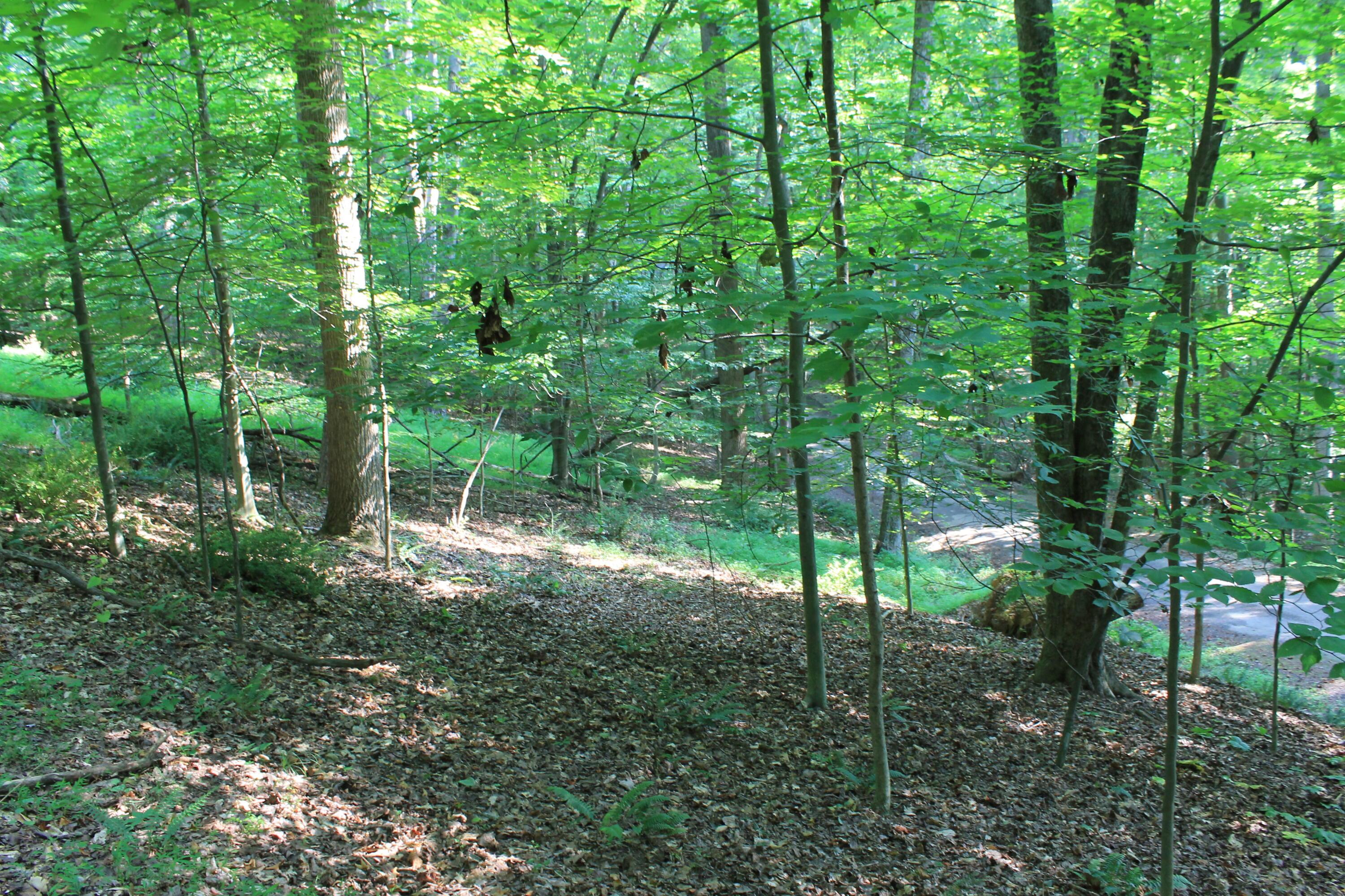 408 Mohican Lane Property Photo 9