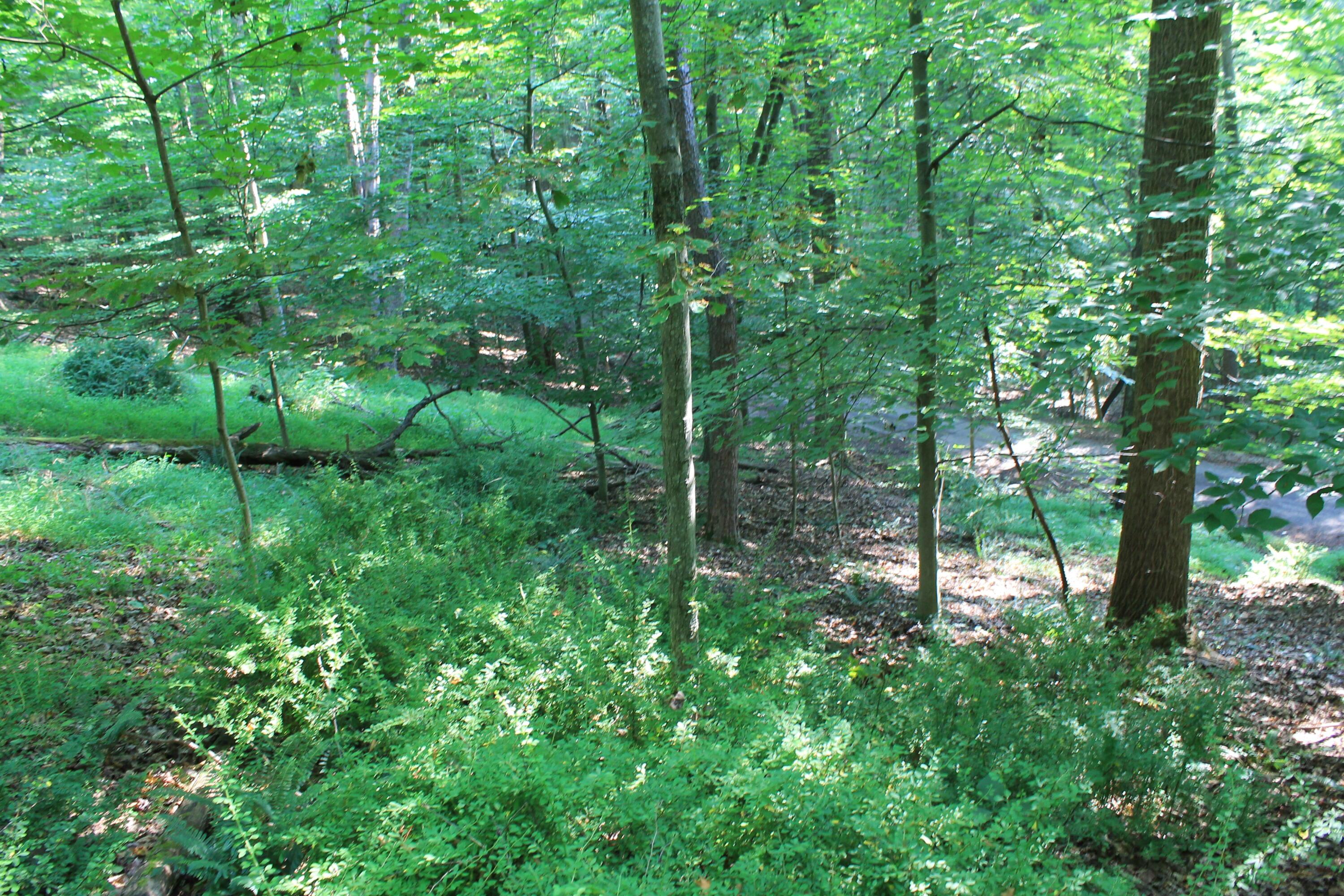 408 Mohican Lane Property Photo 10