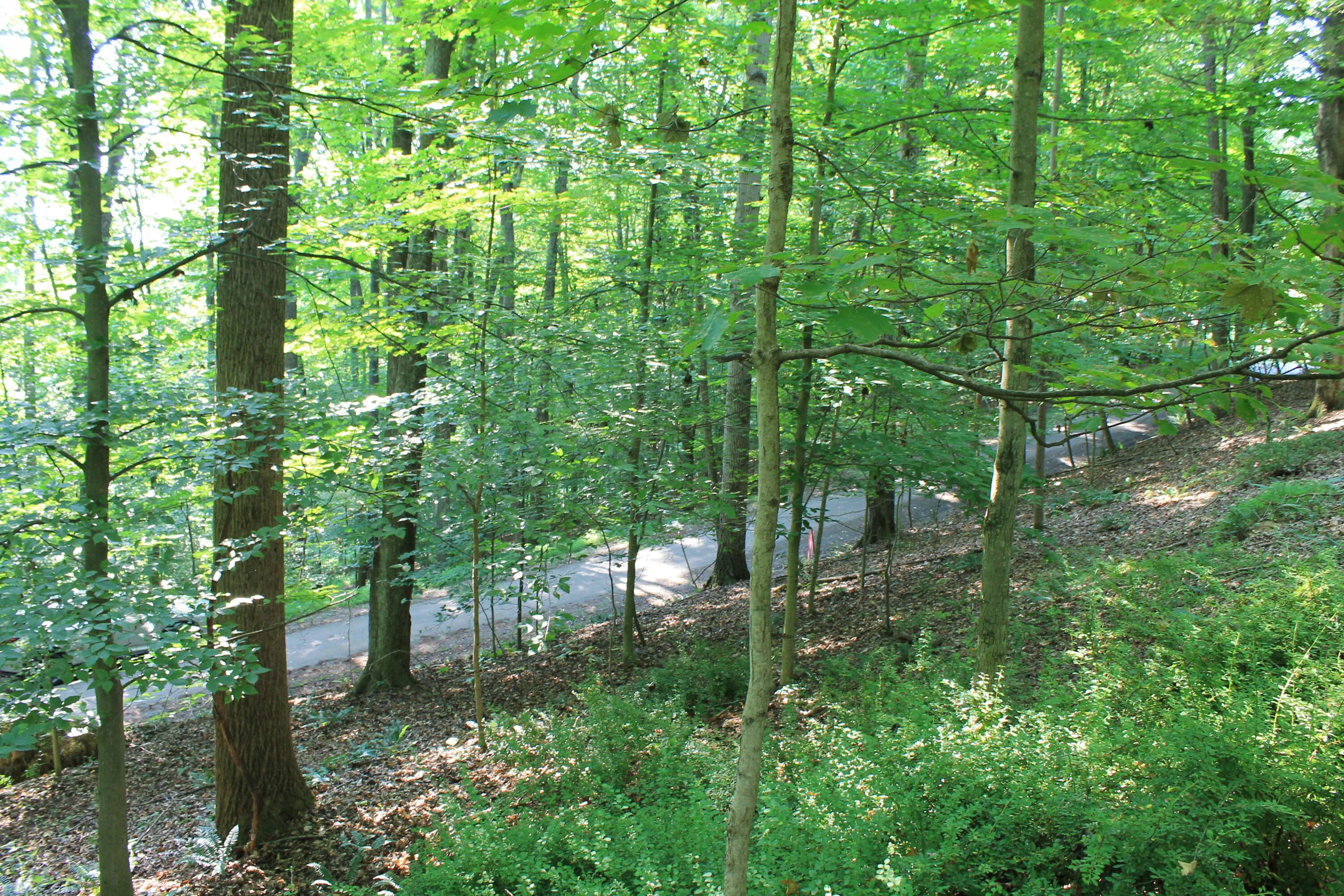 408 Mohican Lane Property Photo 11