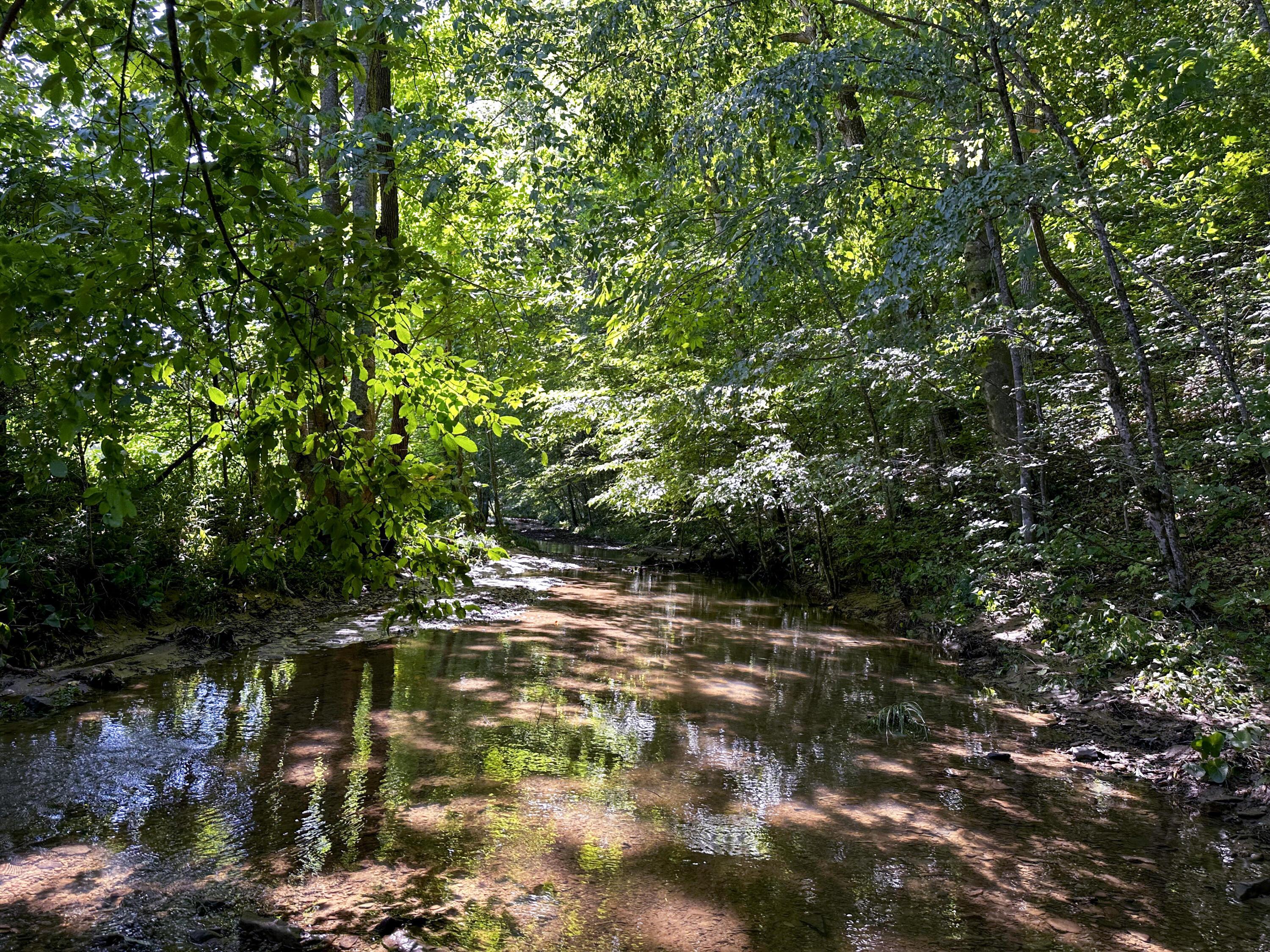 1725 Hull Road, (tract 4 Woods Wayne Forest) Property Photo 1