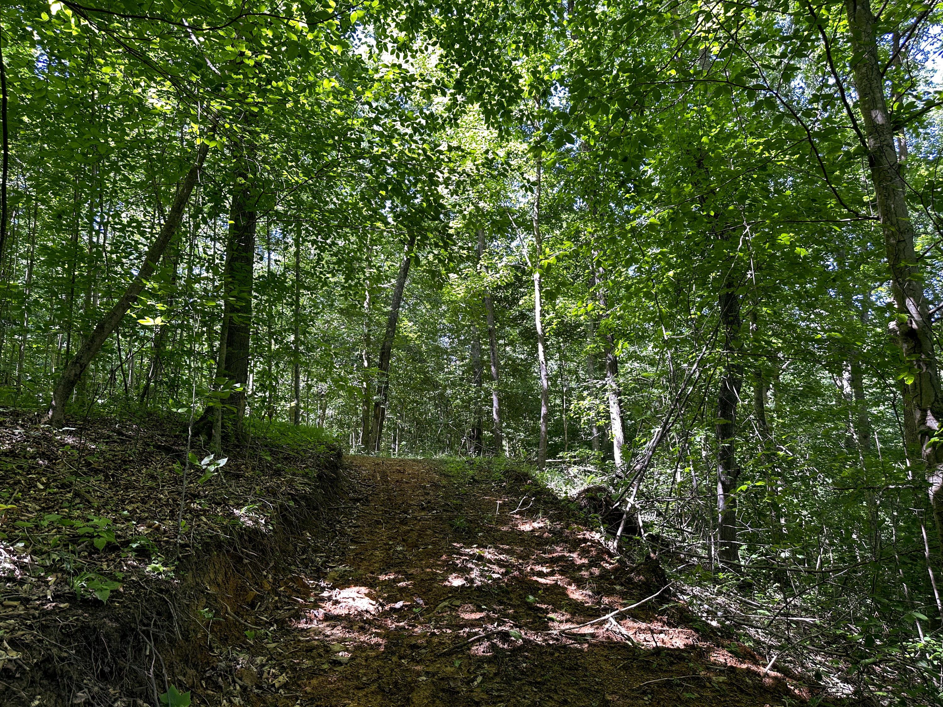 1725 Hull Road, (tract 4 Woods Wayne Forest) Property Photo 9