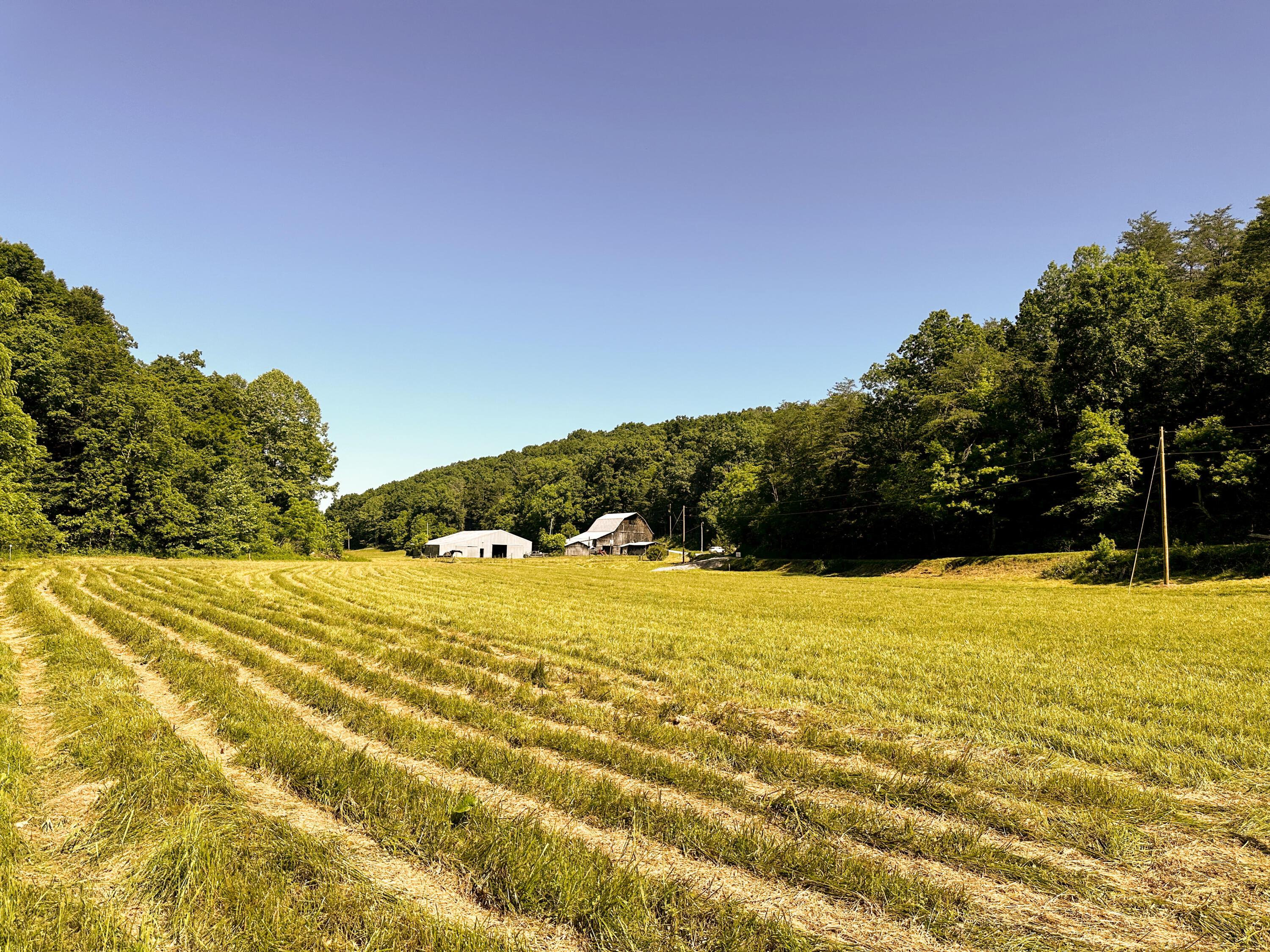 1725 Hull Road, (tract 4 Woods Wayne Forest) Property Photo 14